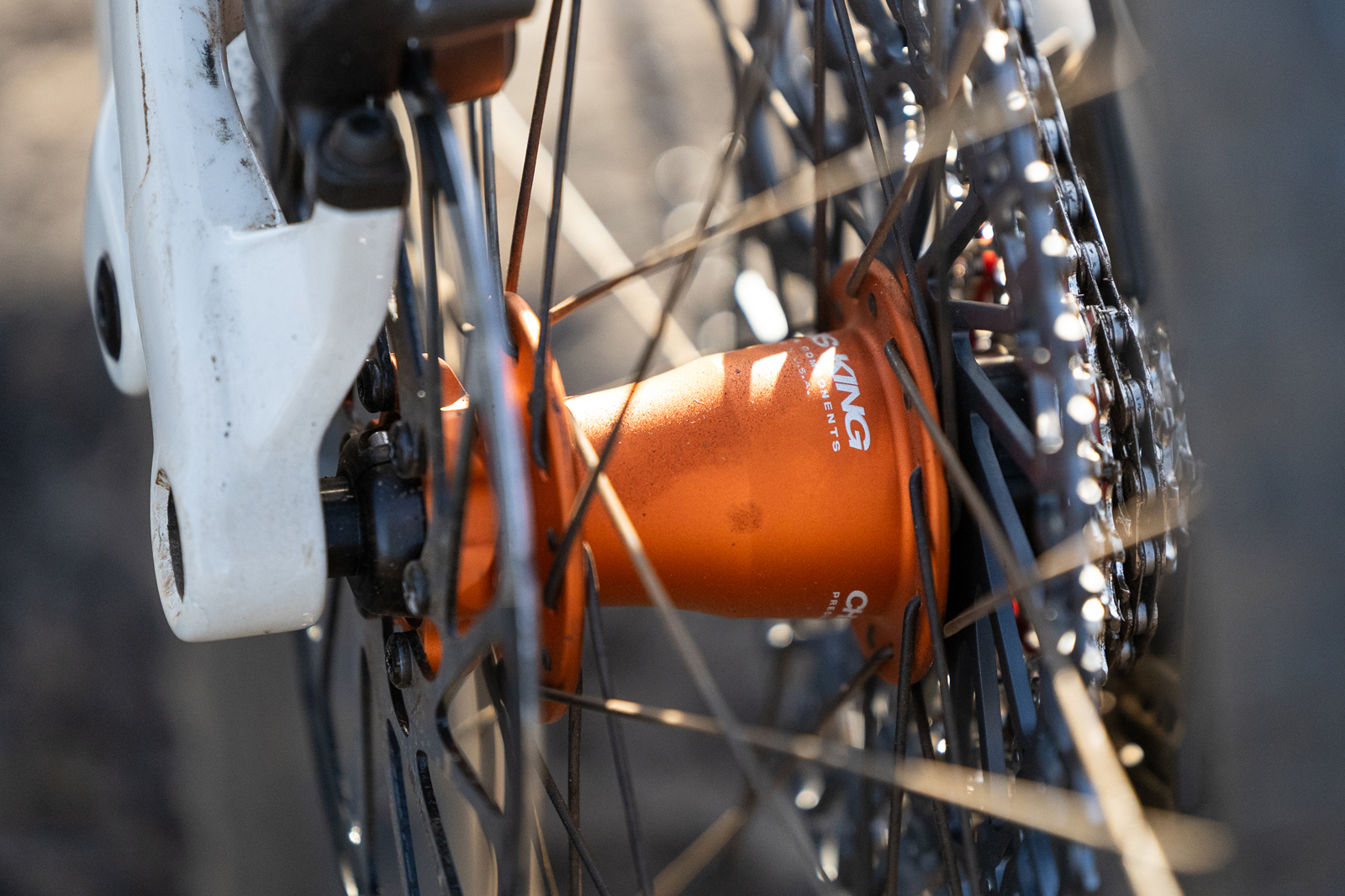 Chris King hub in MTNAL 30 wheelset.