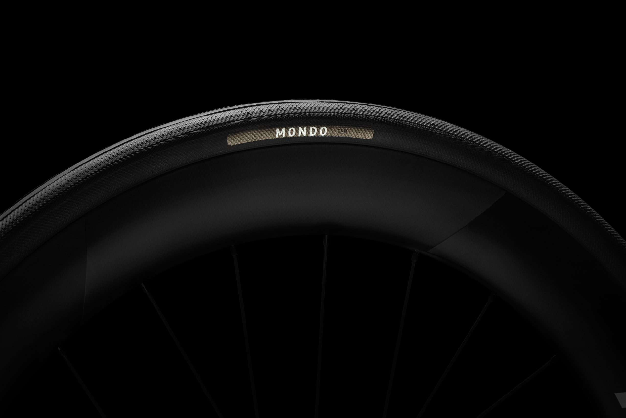 Specialized Mondo tyre 2025