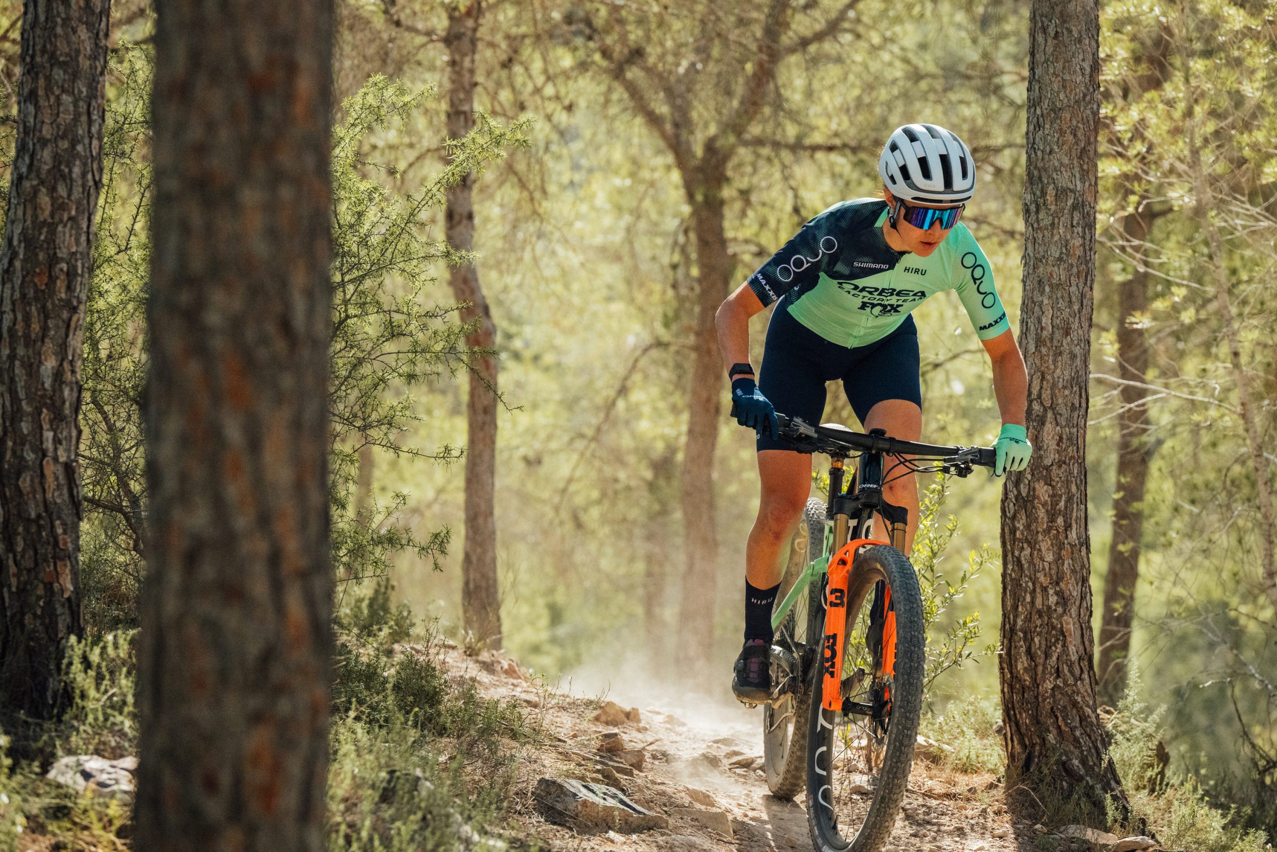 Fox 34SL Factory on Orbea Oiz