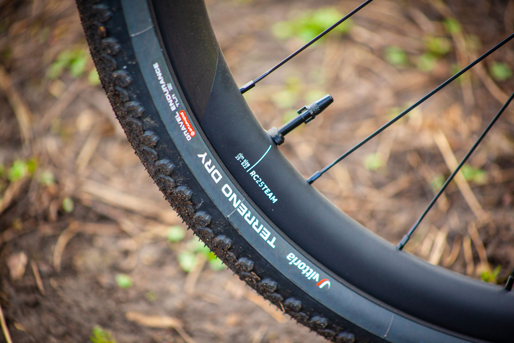 Vitttoria's Terreno Dry tyres