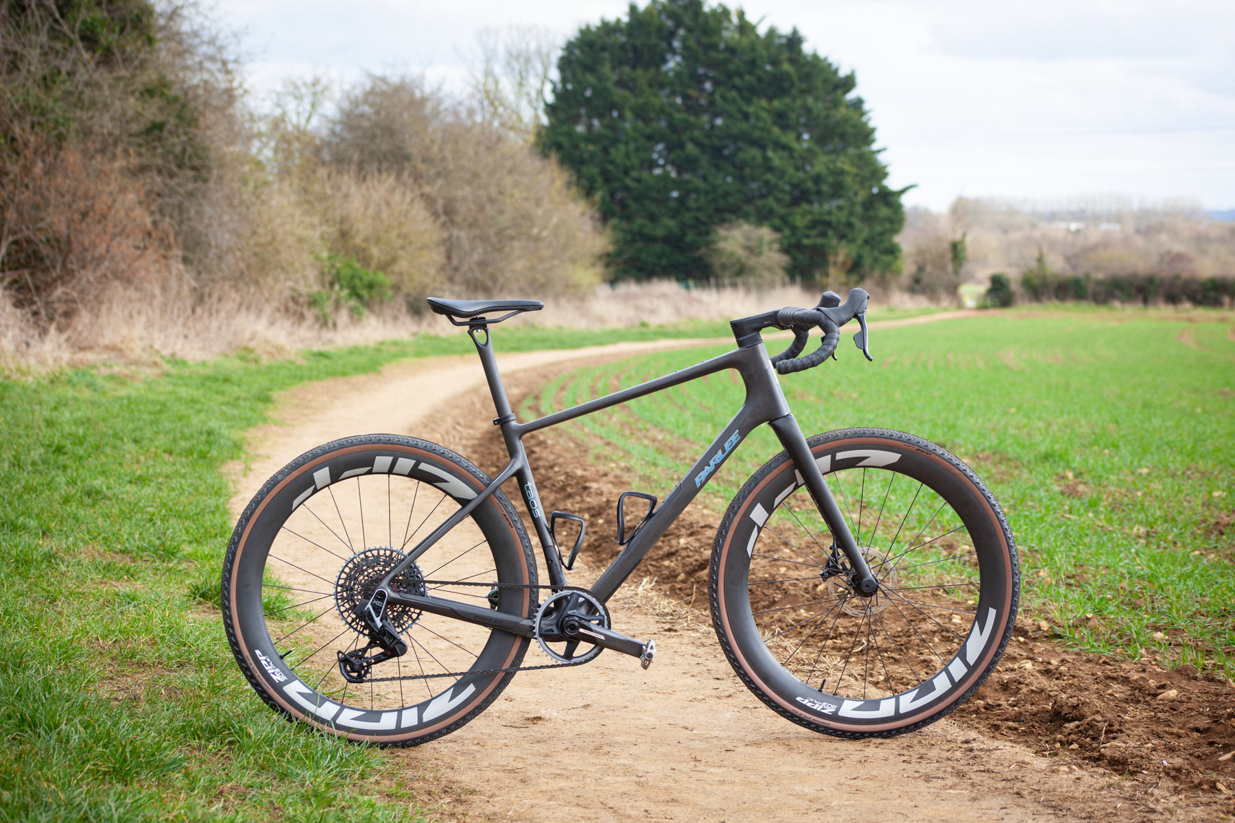 Parlee Taos