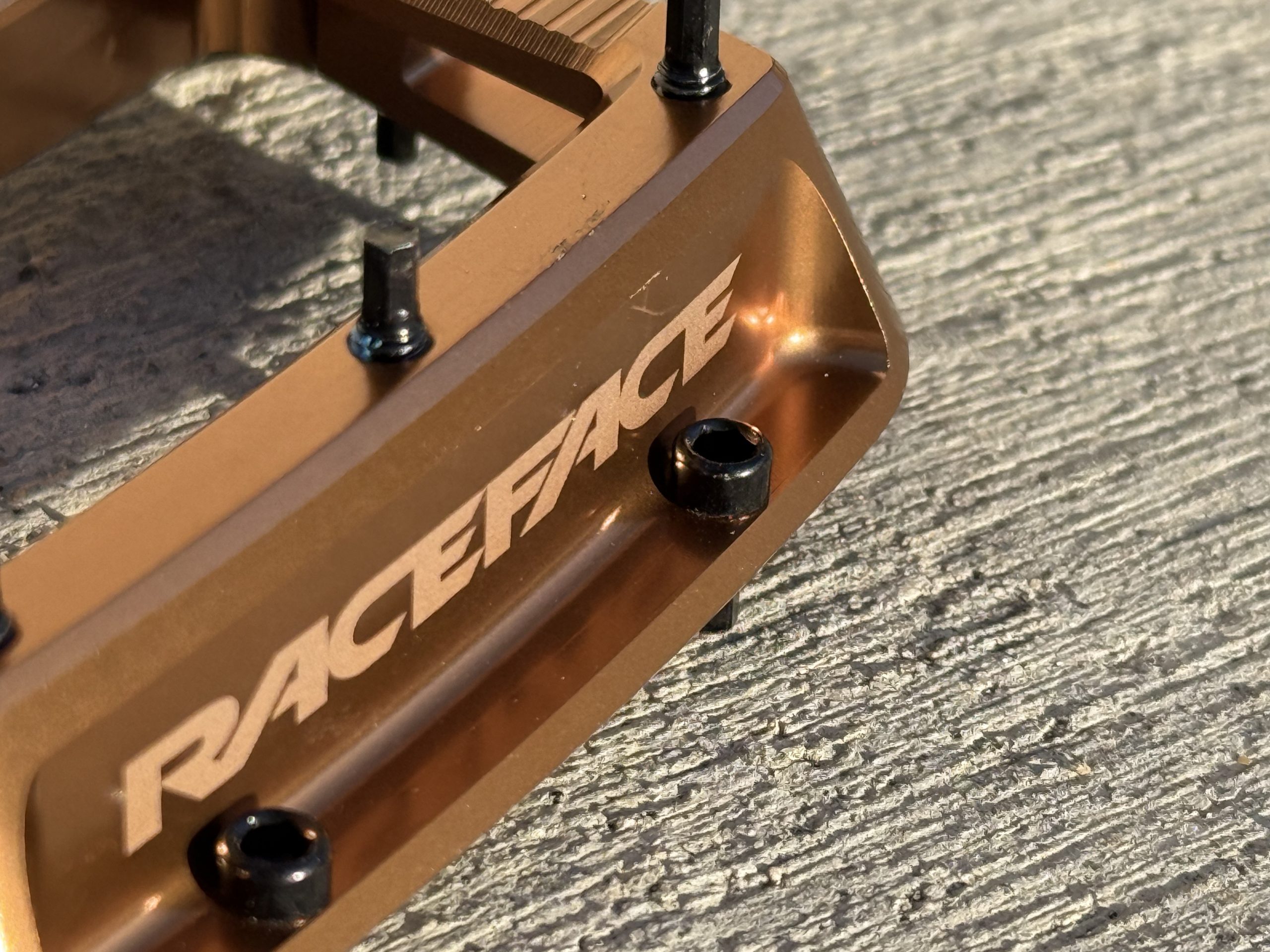 RaceFace Turbine Pedals pins