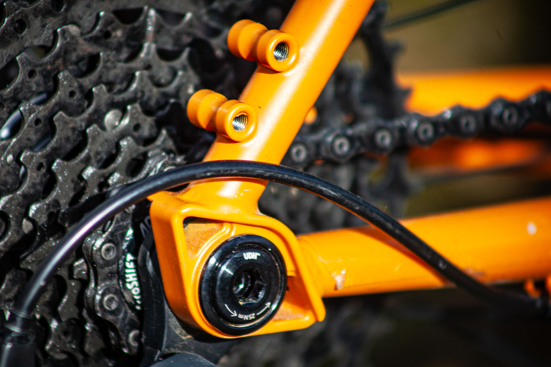 Rondo Bogan rear dropout