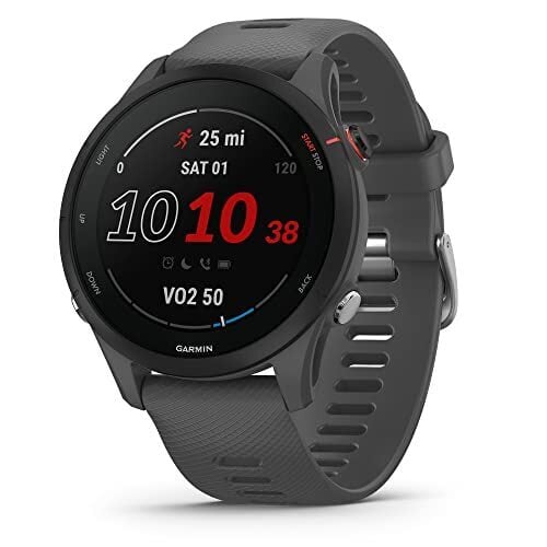 Garmin Forerunner 255 GPS Running Smartwatch (Gray)