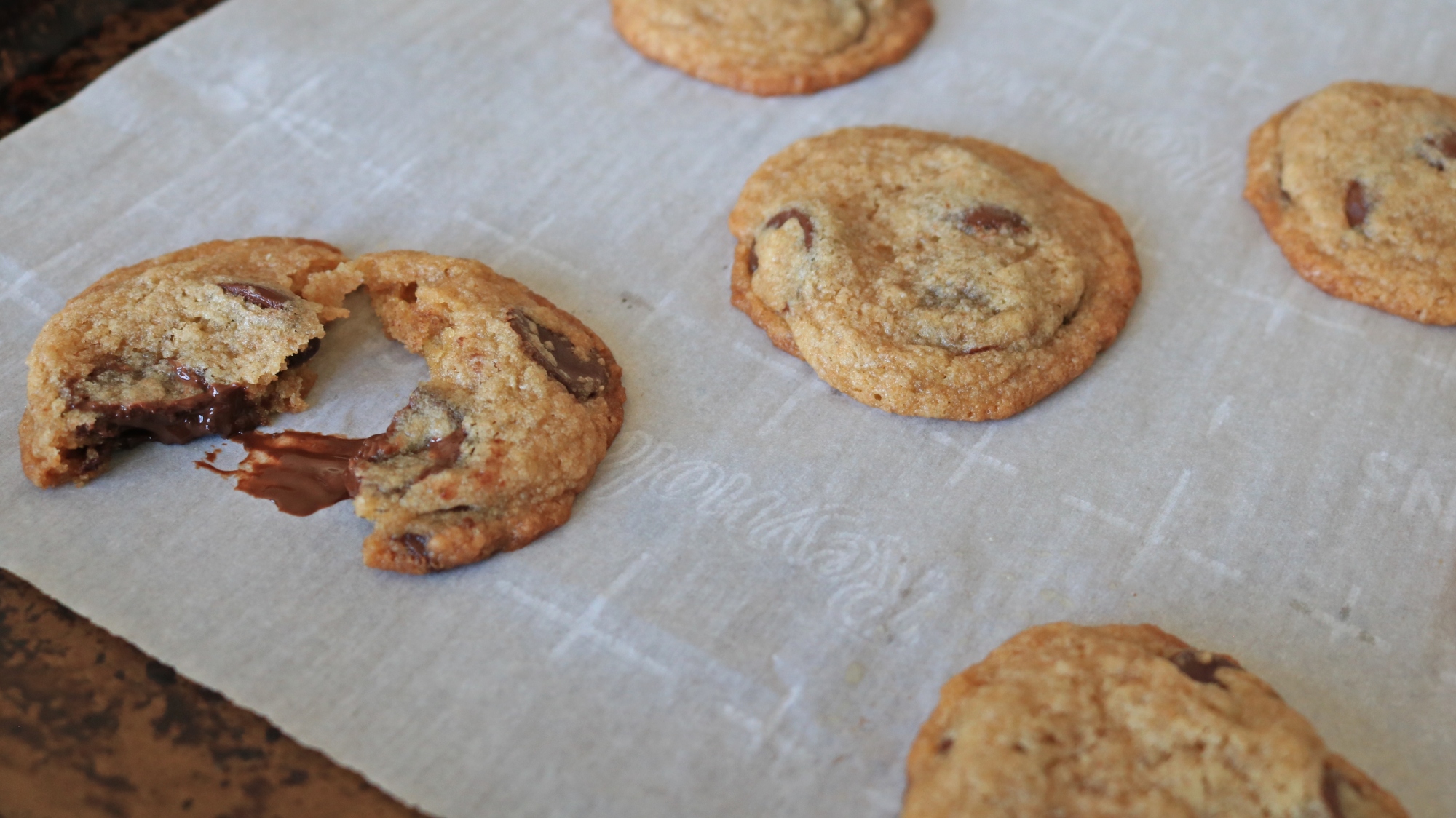 Chocolate chip cookies on a tray.