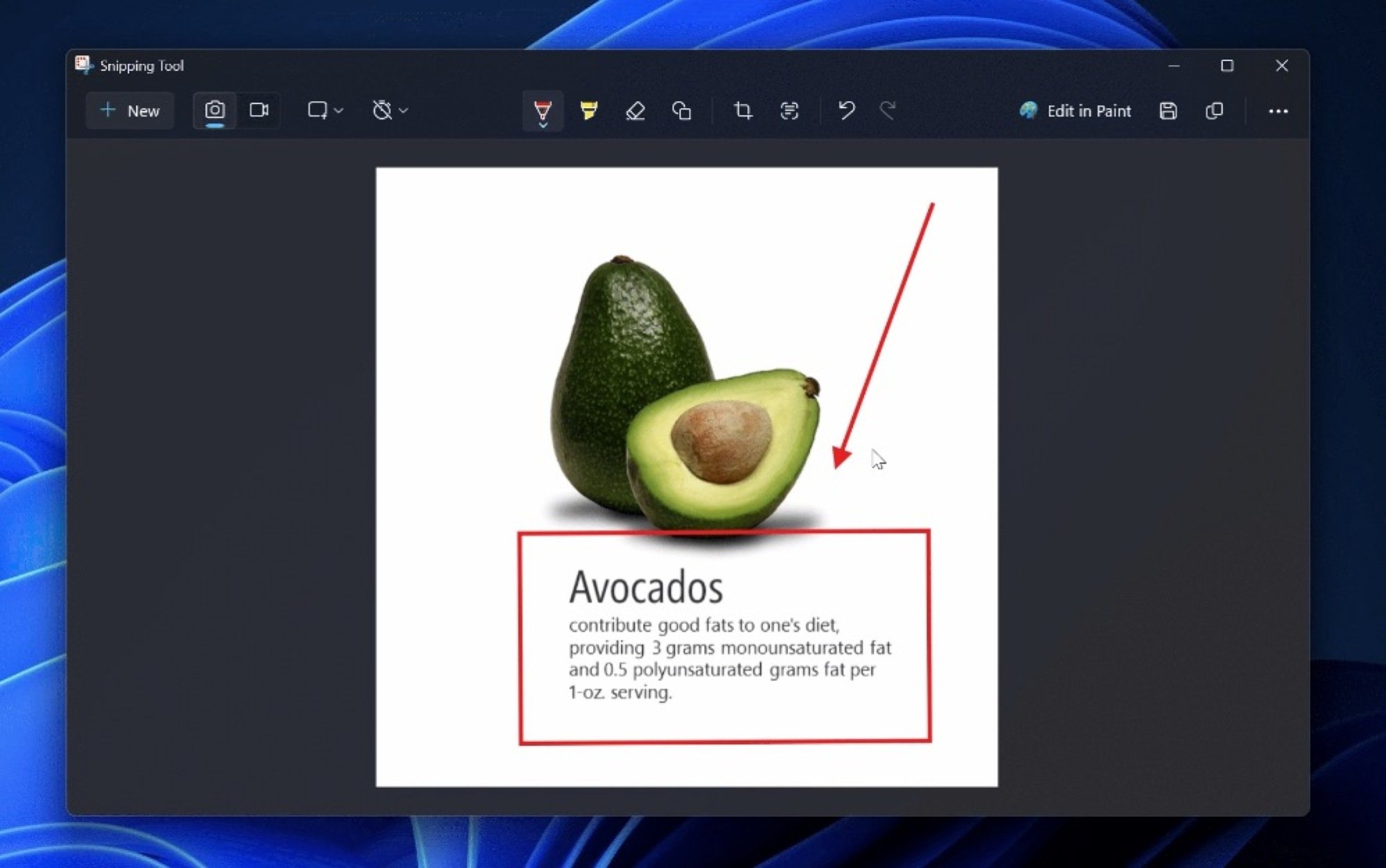 An avocado's picture open in the Windows Snipping Tool app. An arrow points to the text below it, which is surrounded by a red rectangle. The text mentions the nutritional benefits of an avocado.