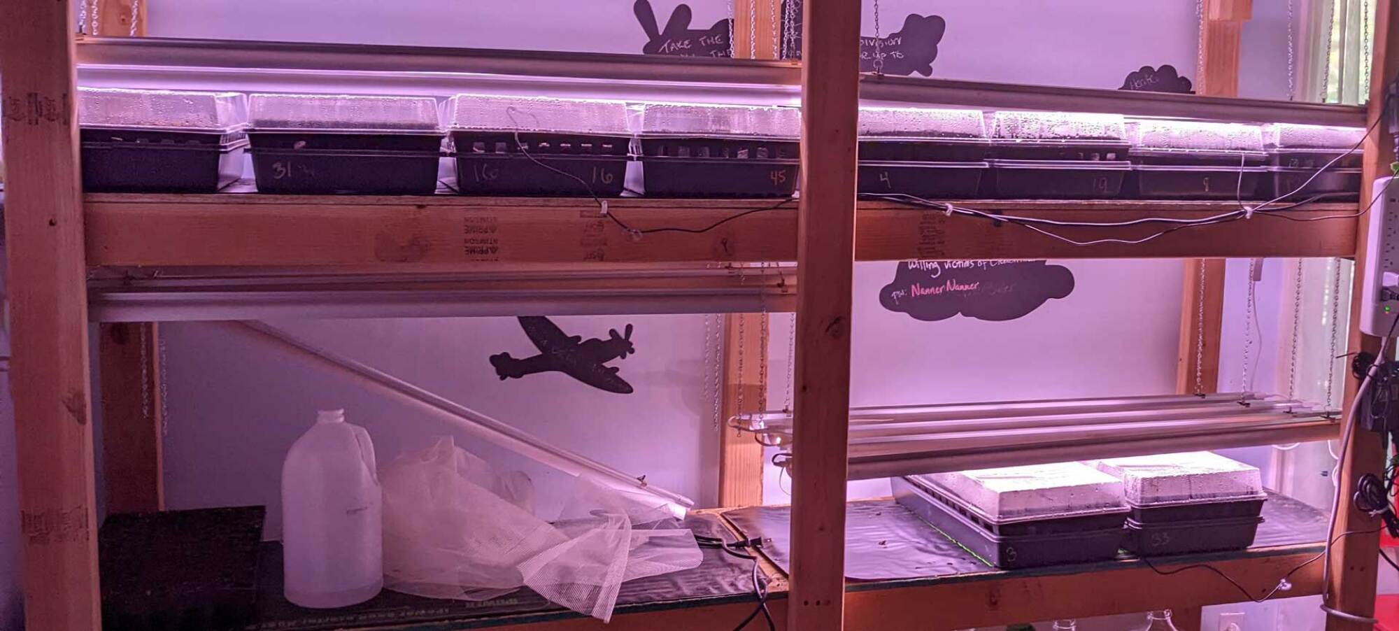 Lights over seedlings