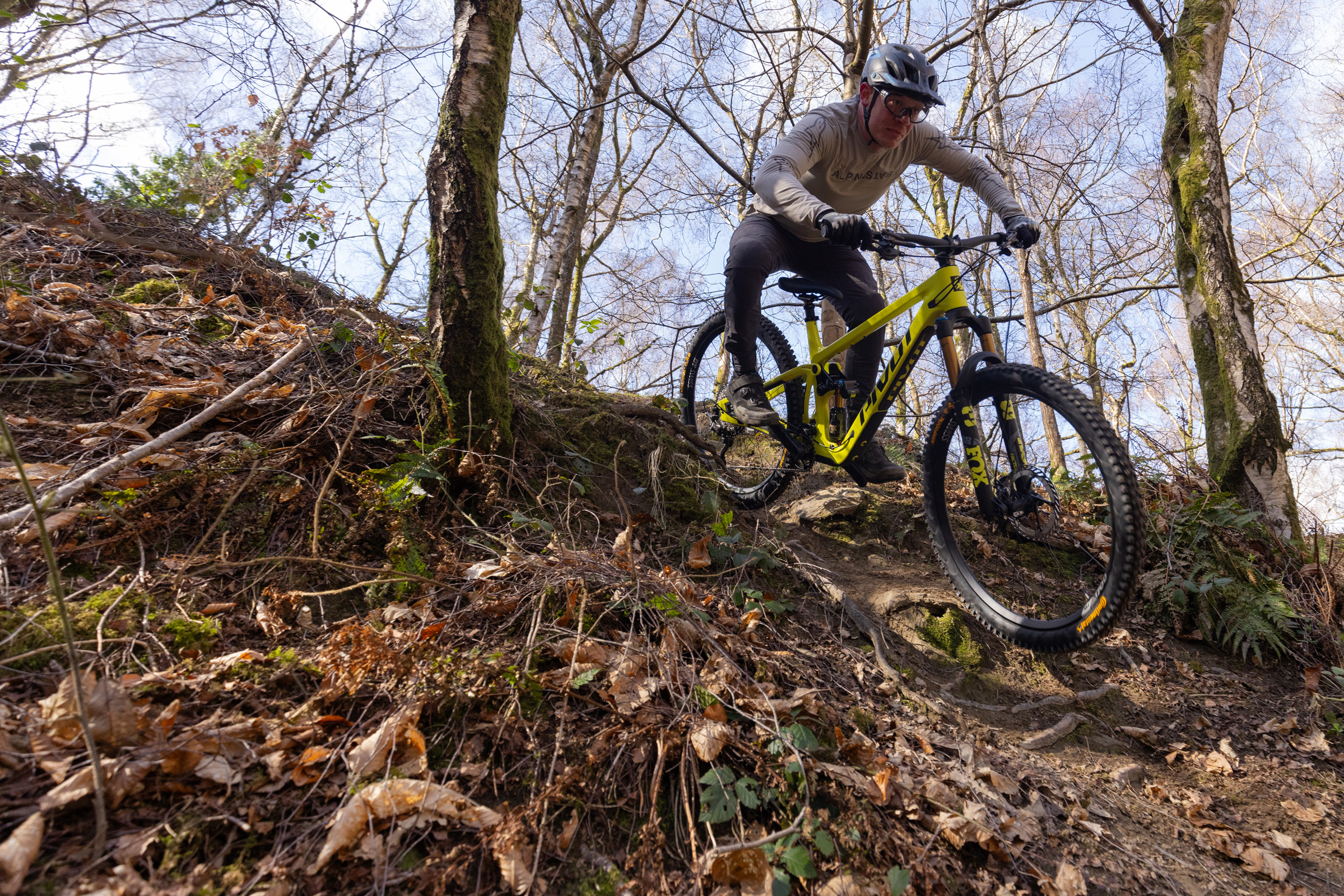 Pivot Firebird on rooty woodland trail