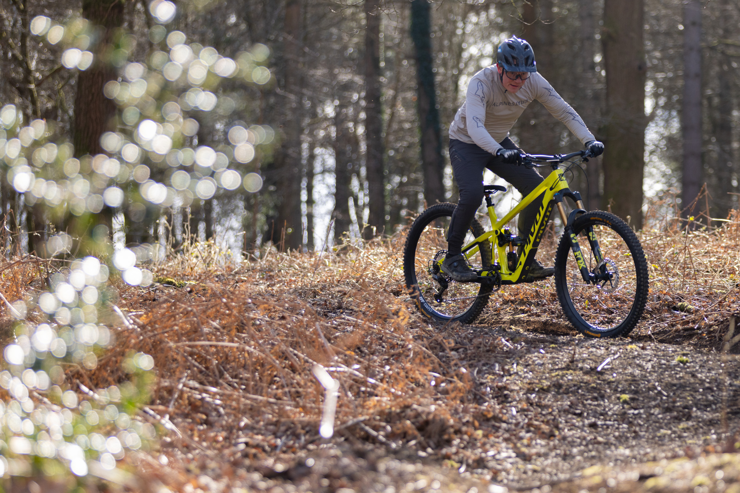 Pivot Firebird on woodland trail