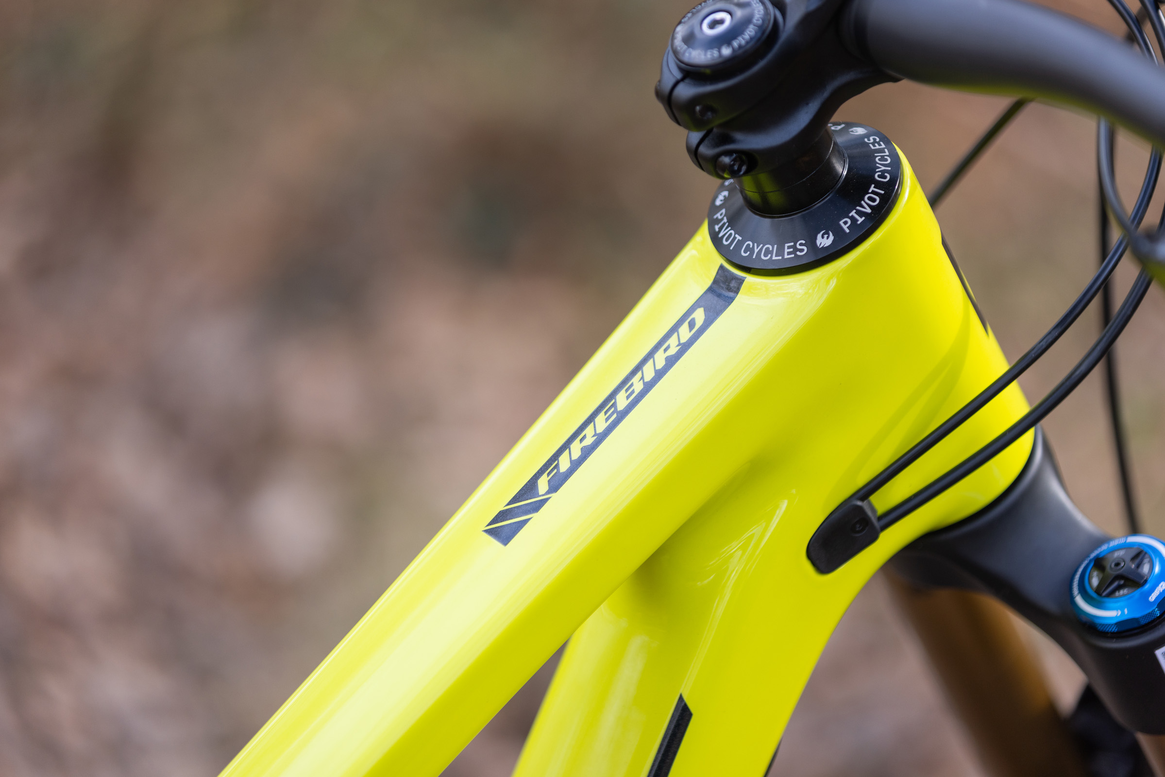 Pivot Firebird head tube