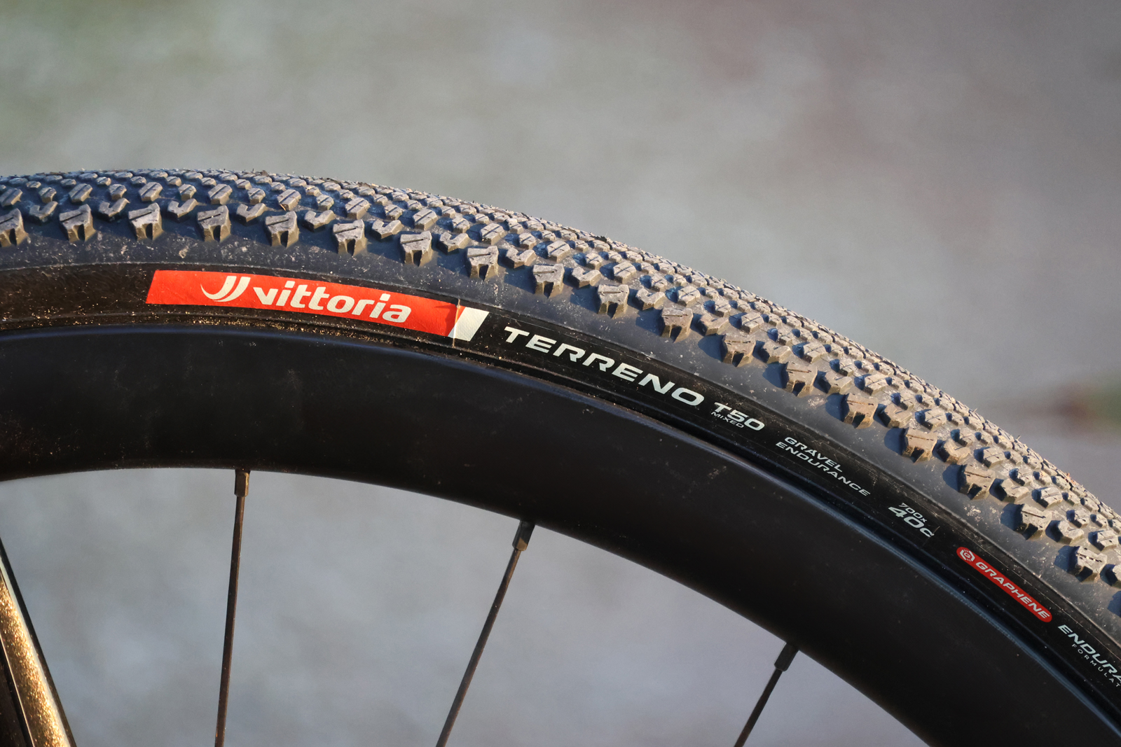 Vittoria T50 gravel tyre.