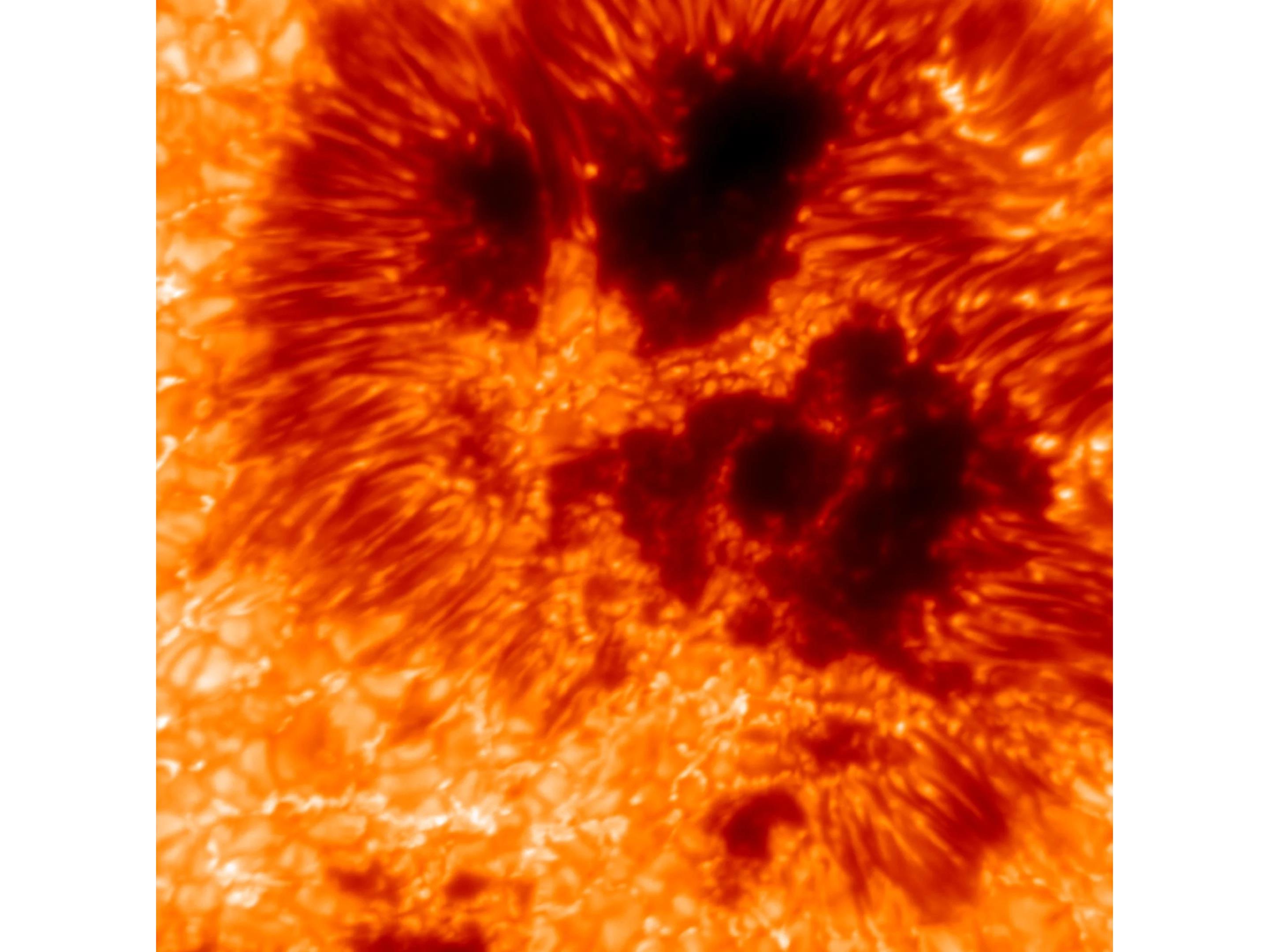 World's Largest Solar Telescope Captures The Sun In Mind-Blowing Detail