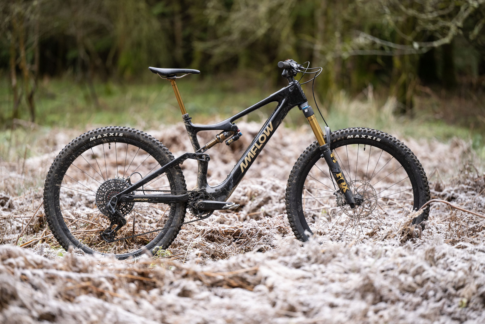 Pack shot of the Amflow PL Carbon Pro electric mountain bike