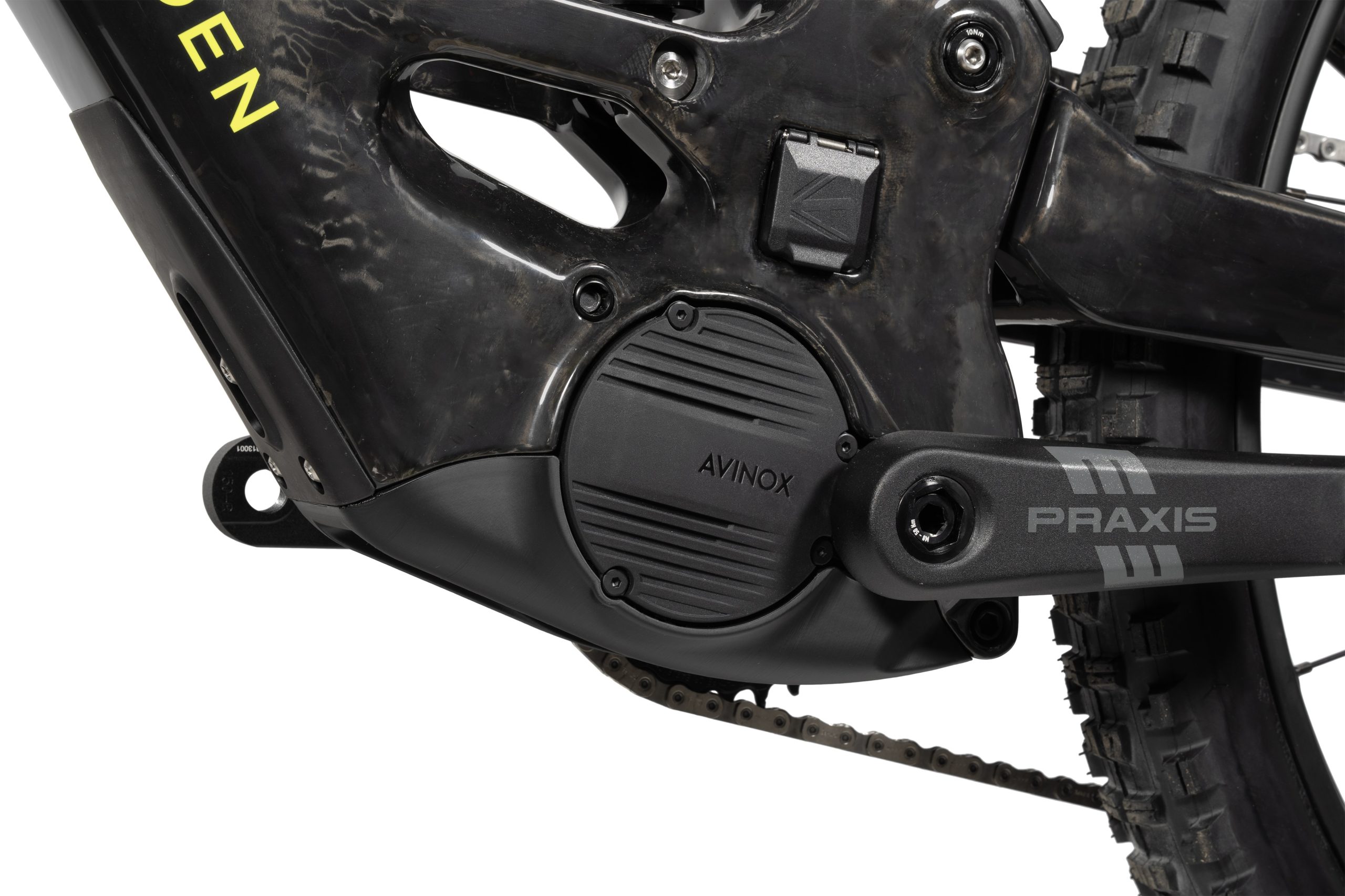 Forbidden Druid E Avinox