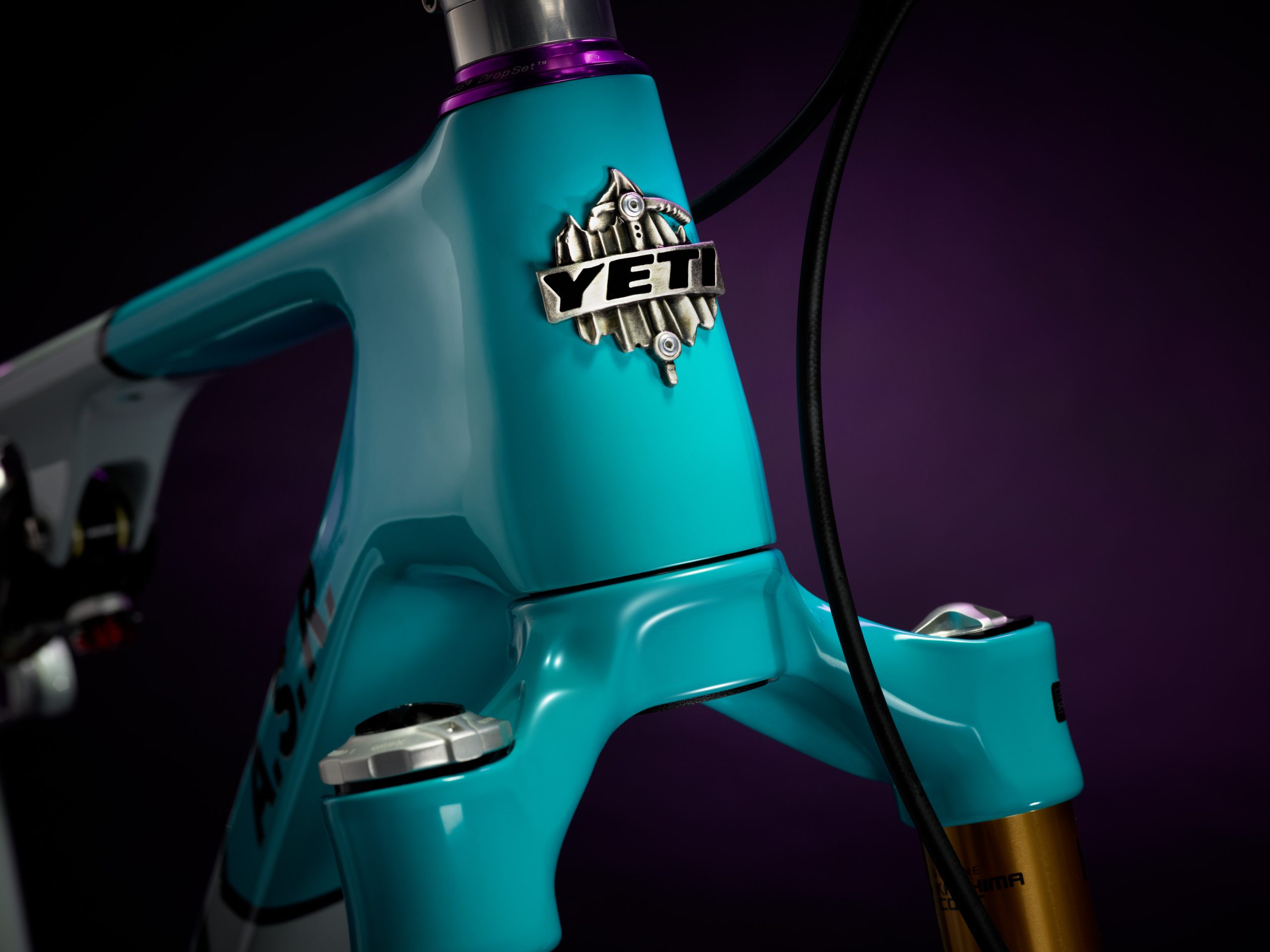 Yeti 40th Anniversary ASR head badge