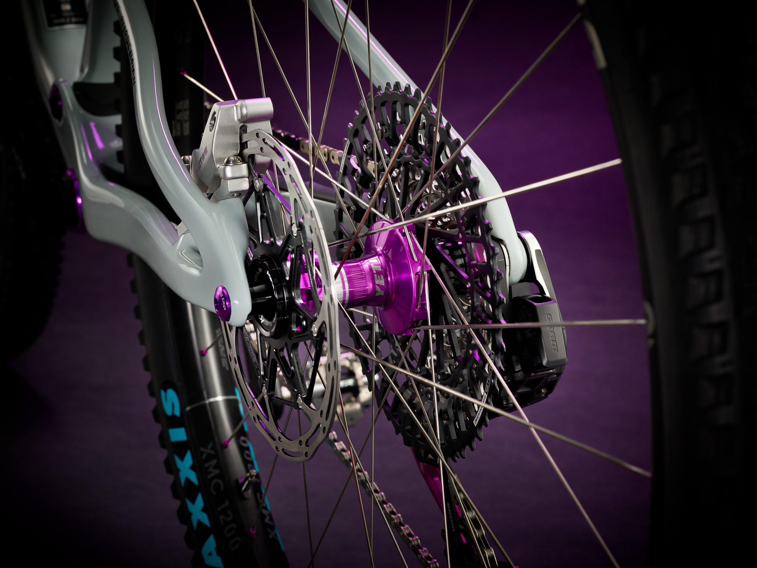 Yeti 40th Anniversary ASR with DT Swiss wheelset