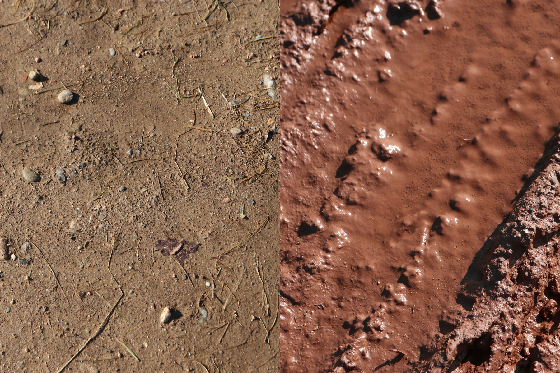 Collage showing hardpack surface (left) and mud (right).