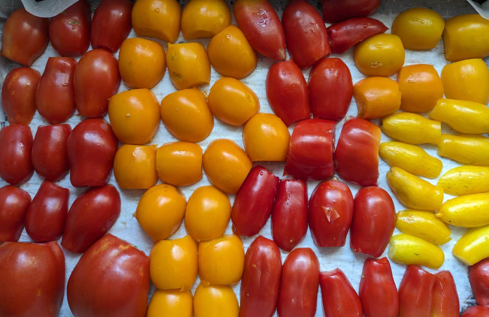 Paste tomatoes