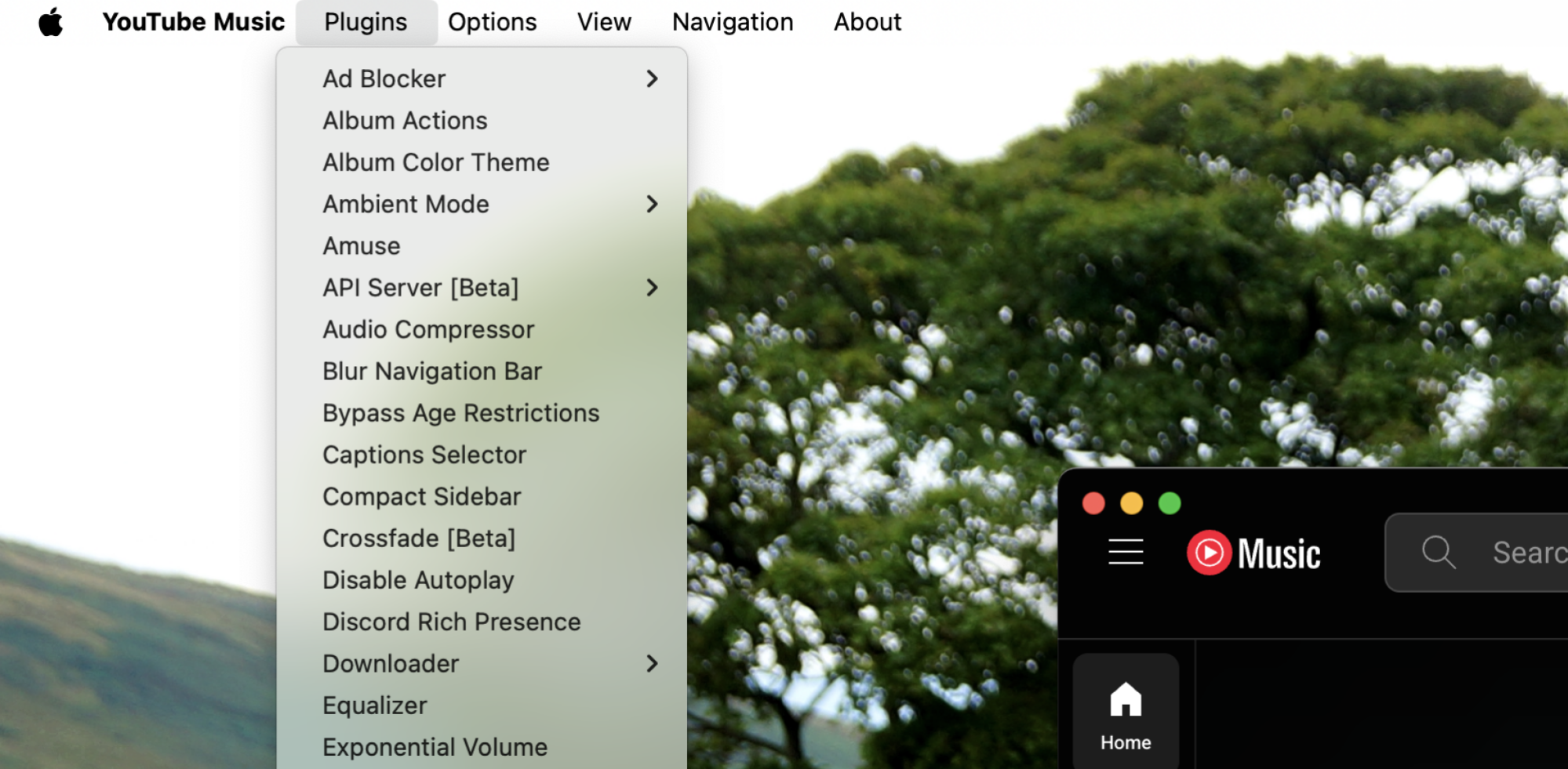The list of plugins in the menu bar on a Mac. There's an ad blocker, crossfade, and more.