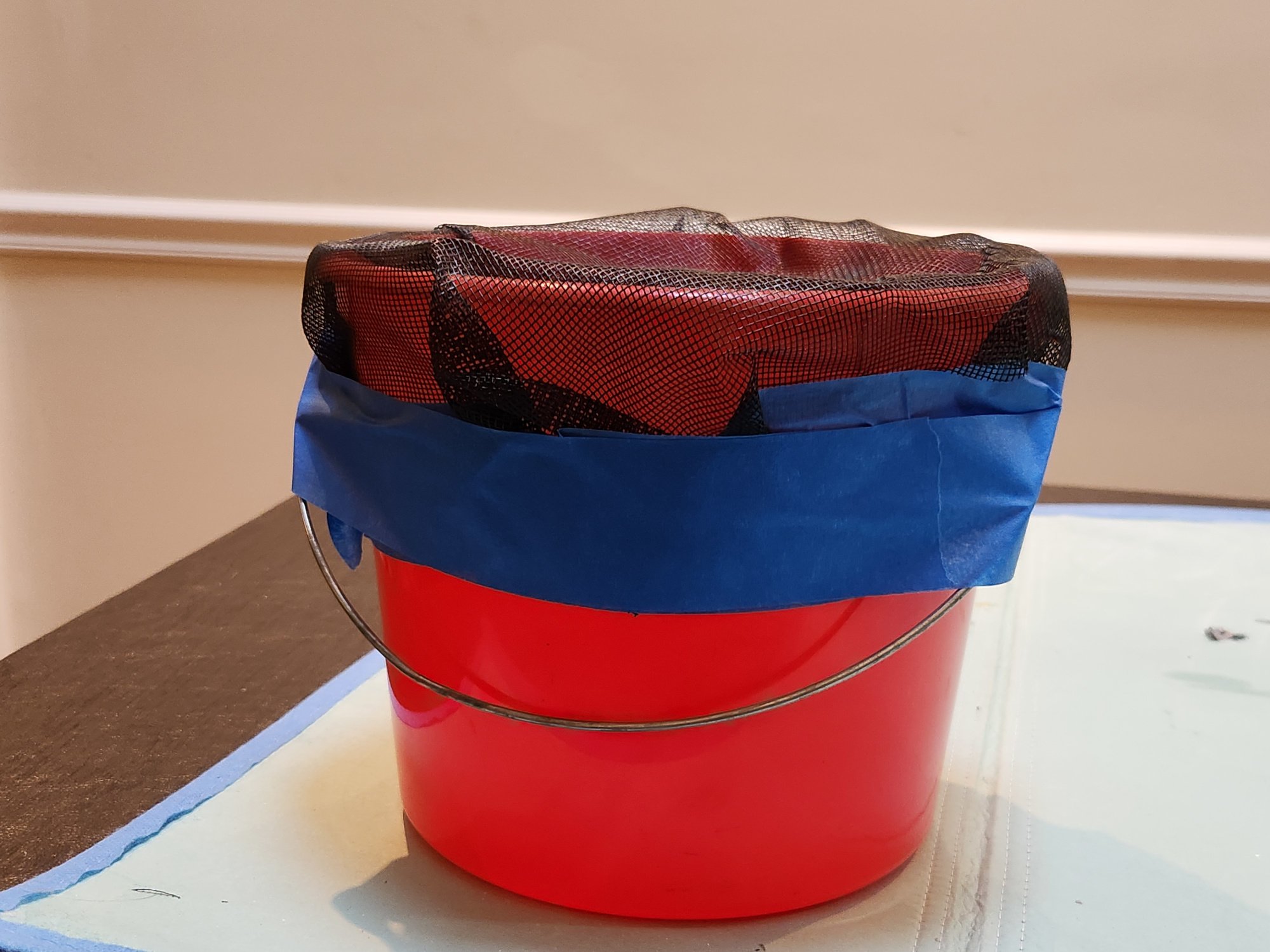 A small plastic bucket with a mesh screen taped over the top.