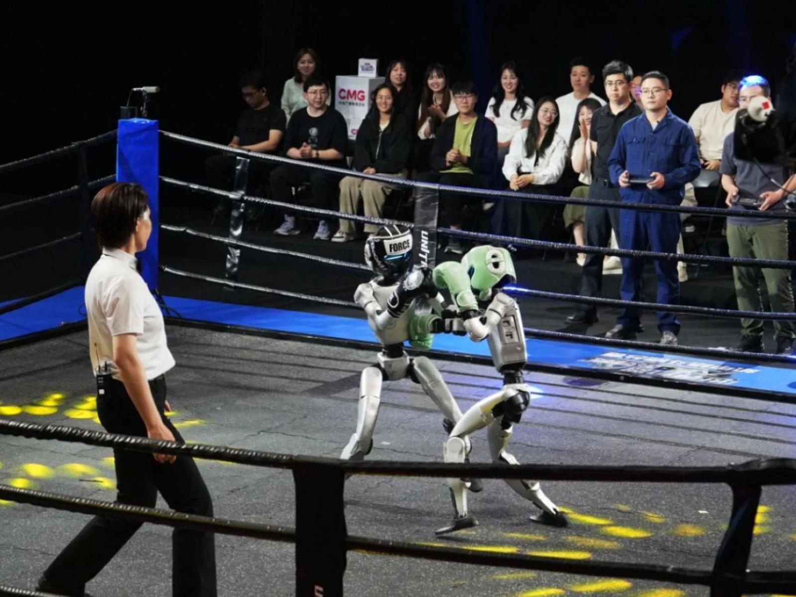 Robots Show Off Combat Skills In First Humanoid Kickboxing Tournament
