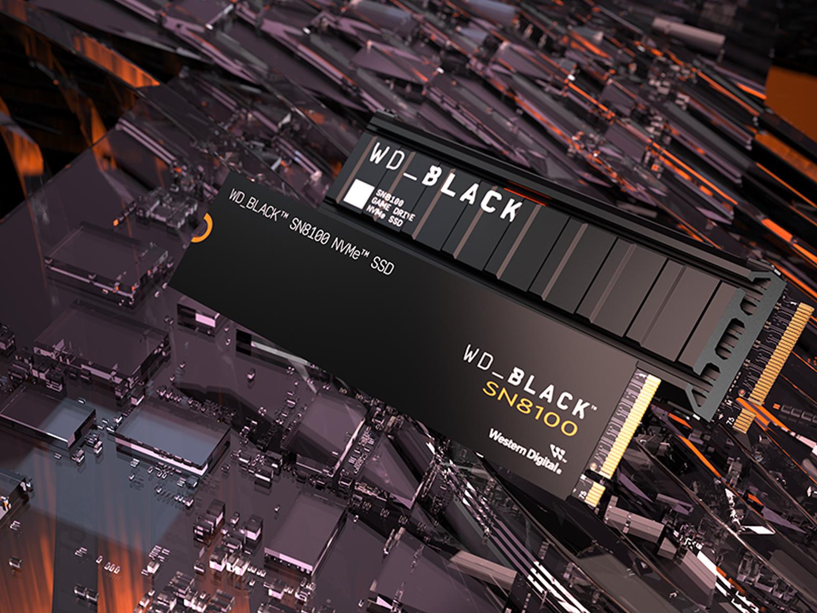 SanDisk's Blistering WD_Black SN8100 SSDs Nearly Saturate The PCIe 5 x4 Bus