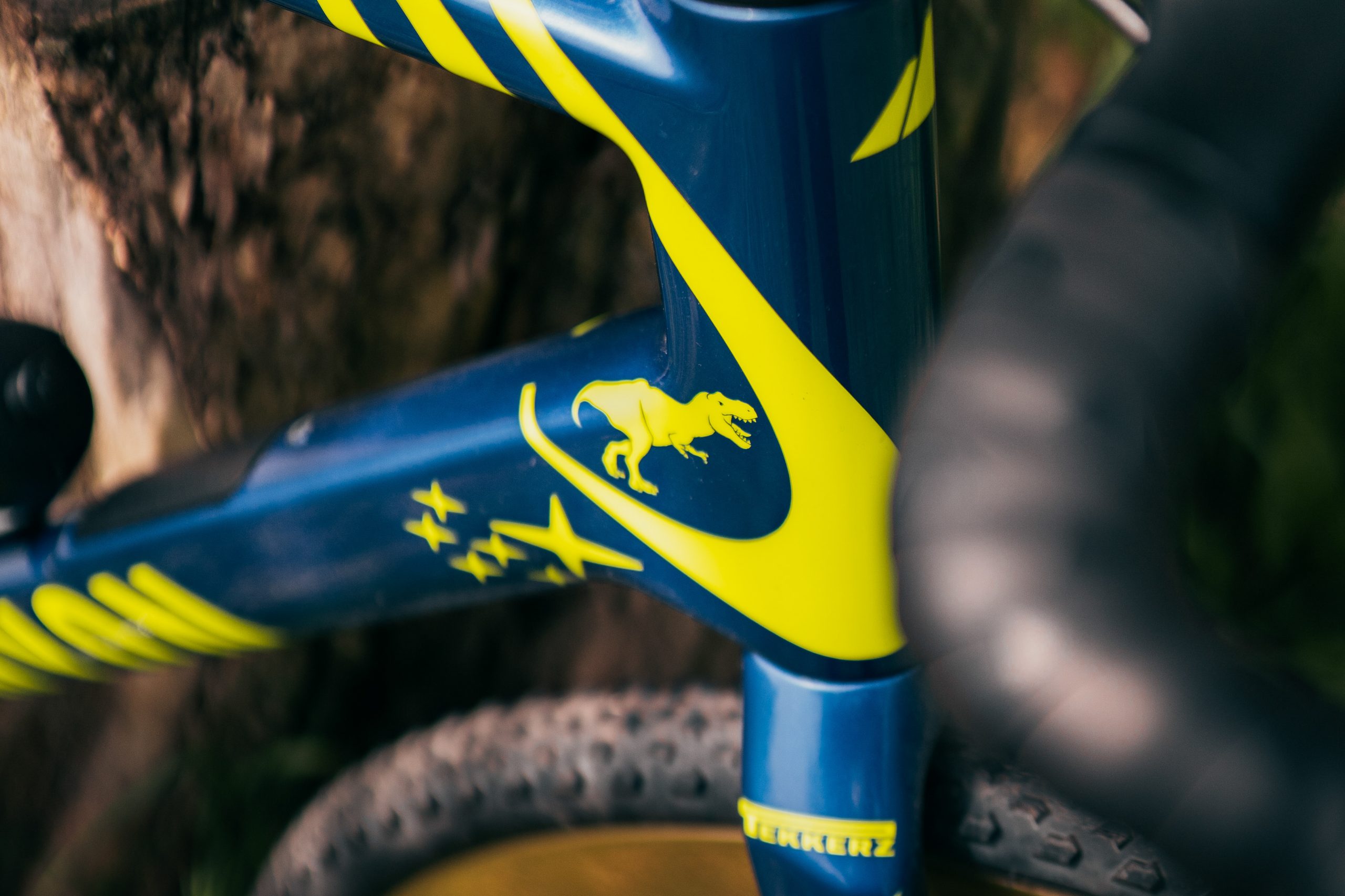 Tekkerz dinosaur graphic on gravel bike headtube. 