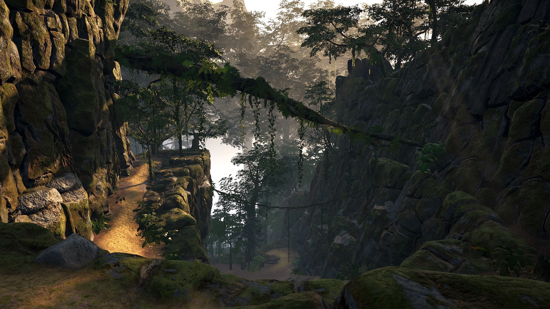 Narrow path along a rocky cliff in the misty jungle with a natural tree bridge between rock faces and dramatic incidence of light.