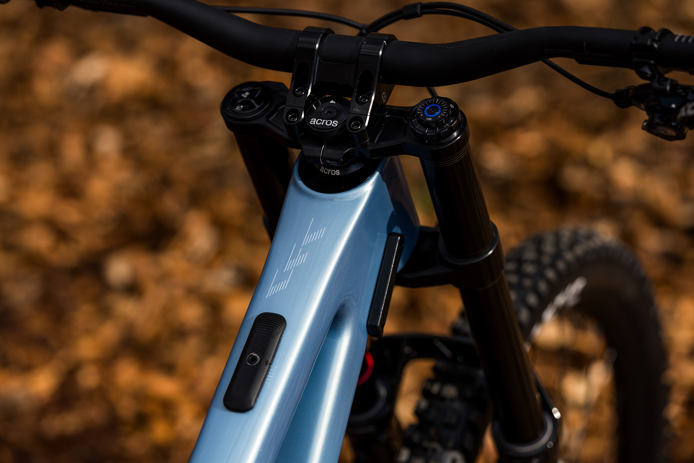 Canyon Sender CFR downhill bike