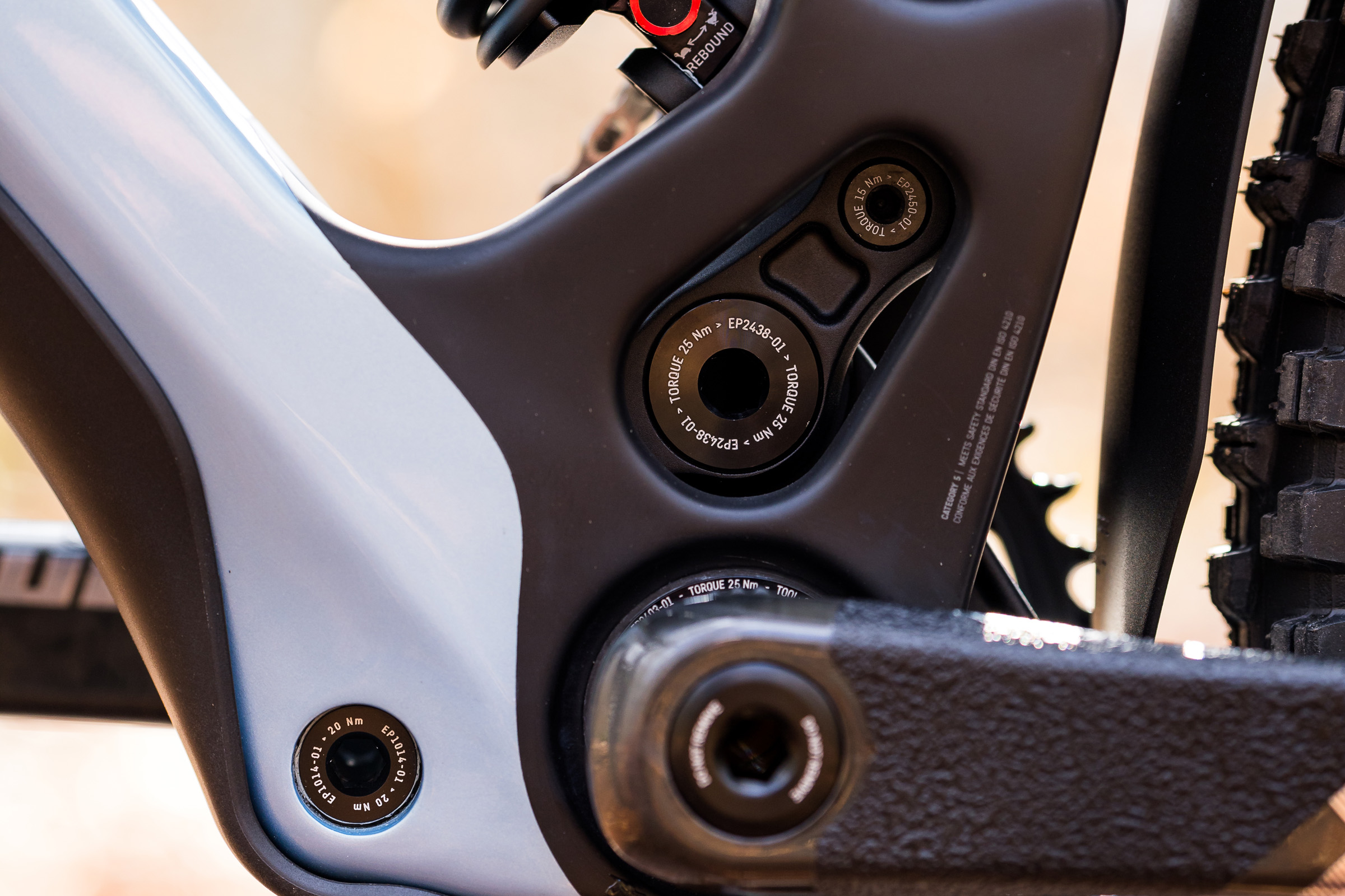 Canyon Sender CFR downhill bike