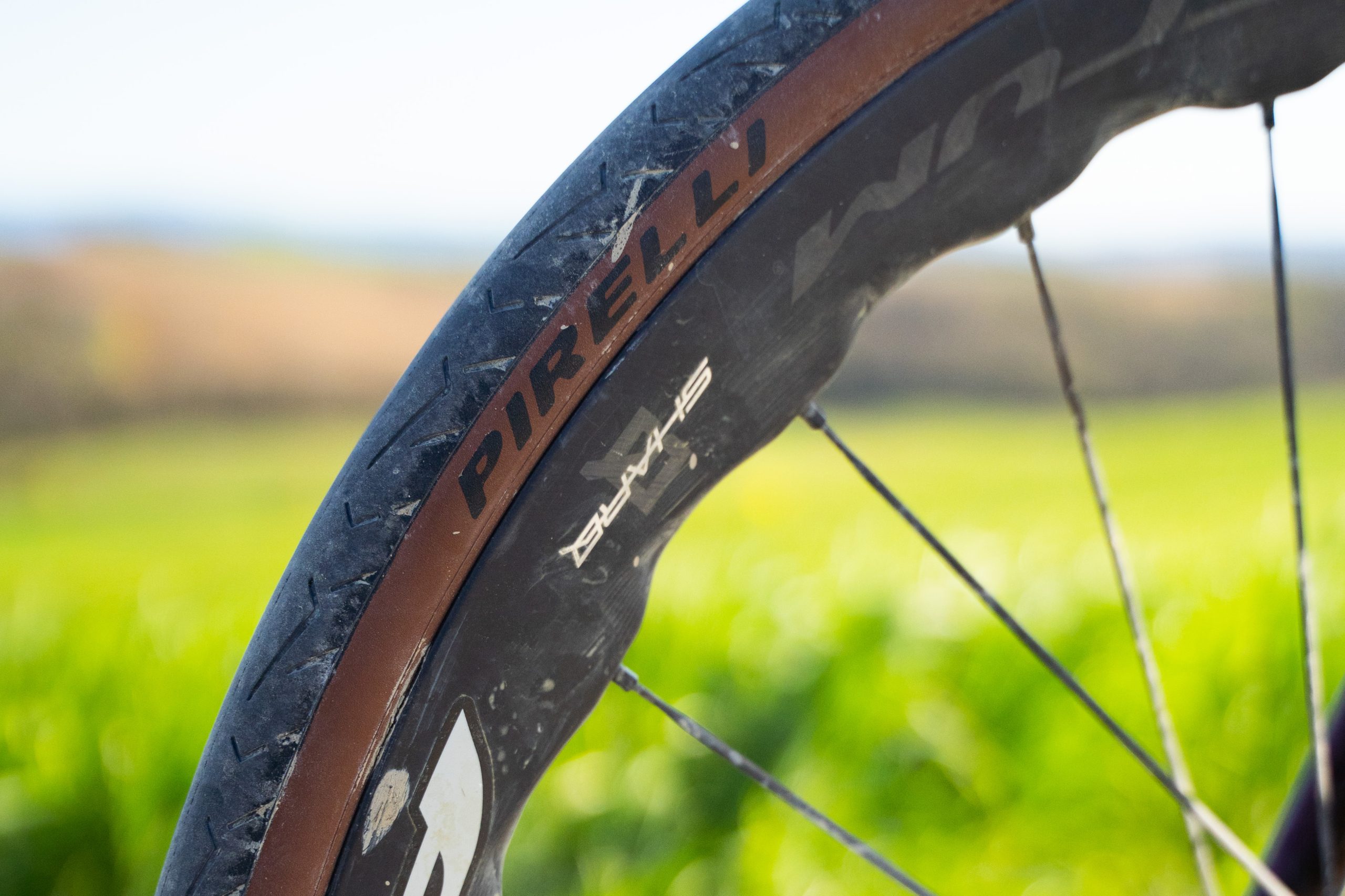 Pirelli Cinturato Evo TLR