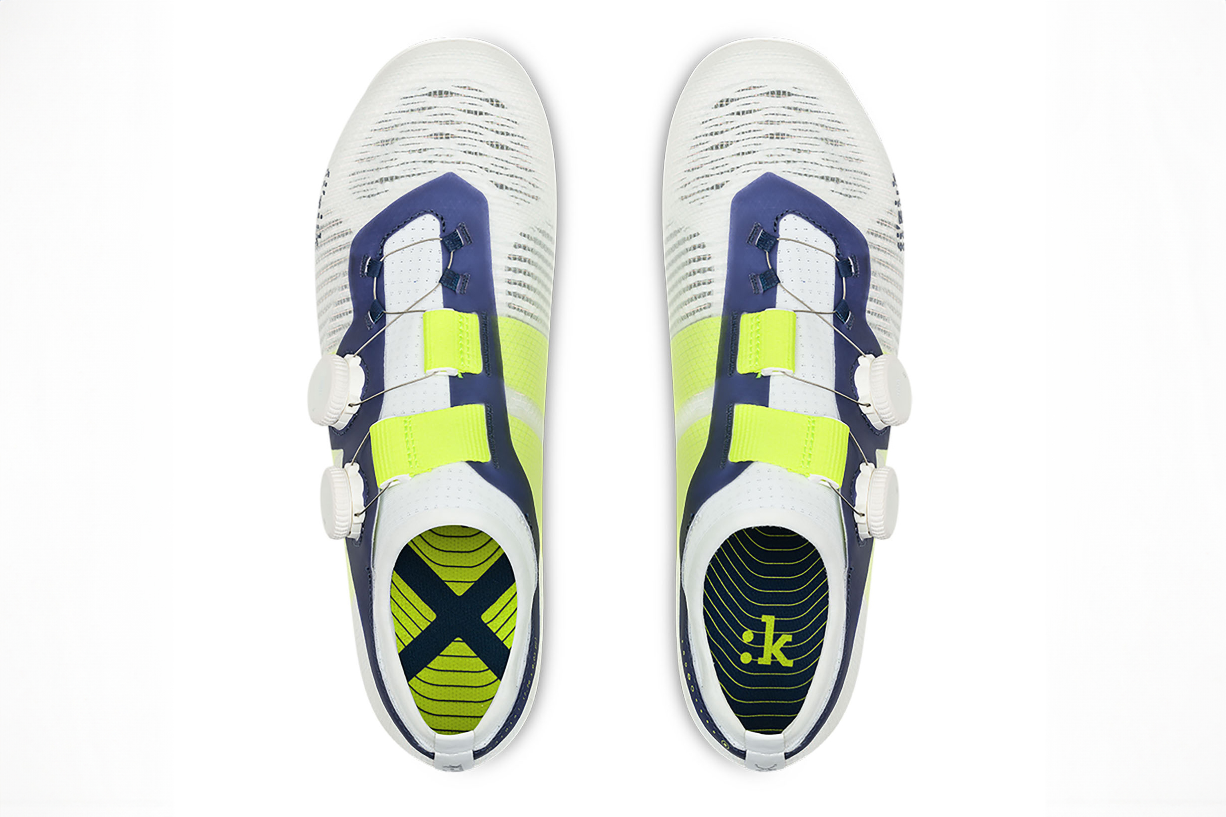 Fizik Vega