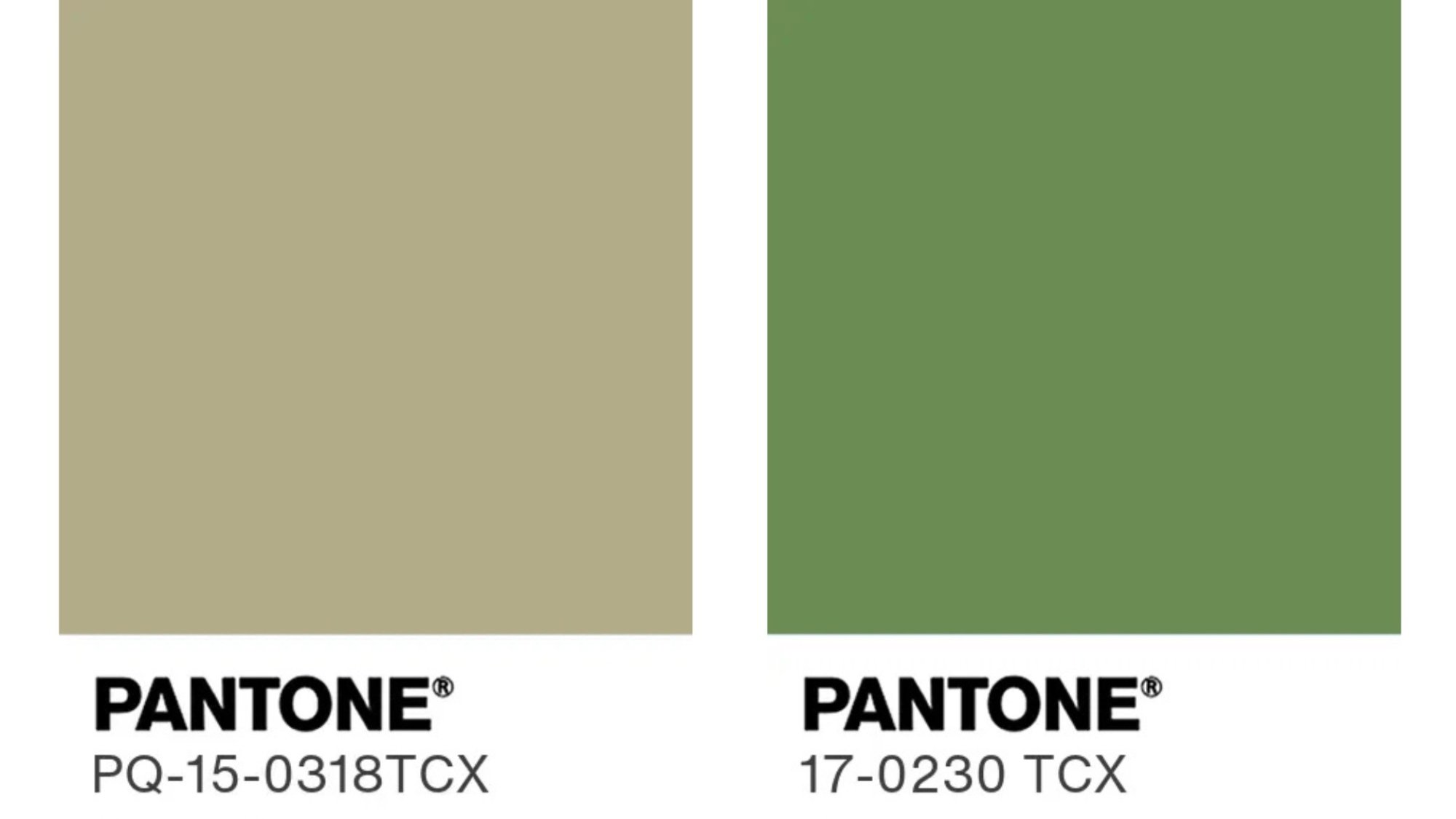 Millenial Green colors