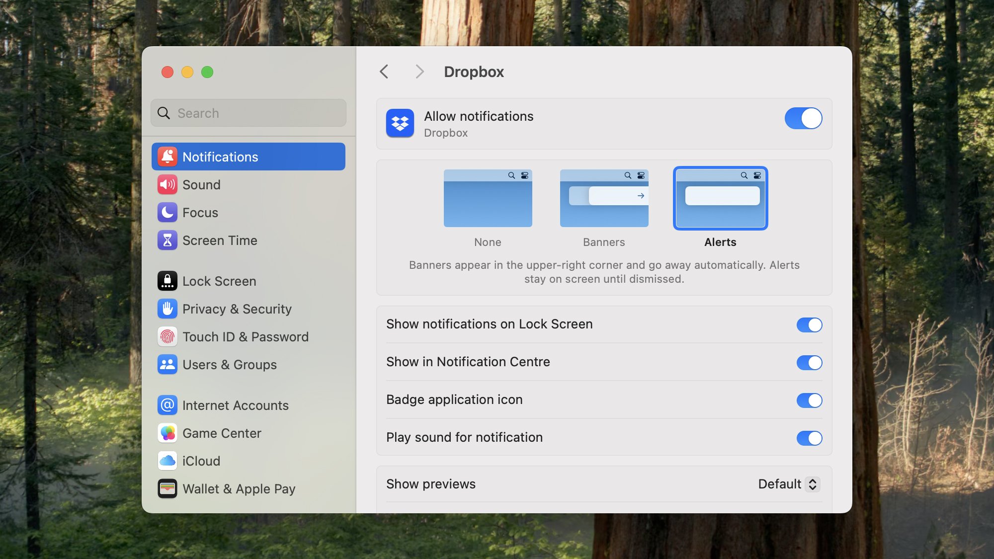 macOS notifications