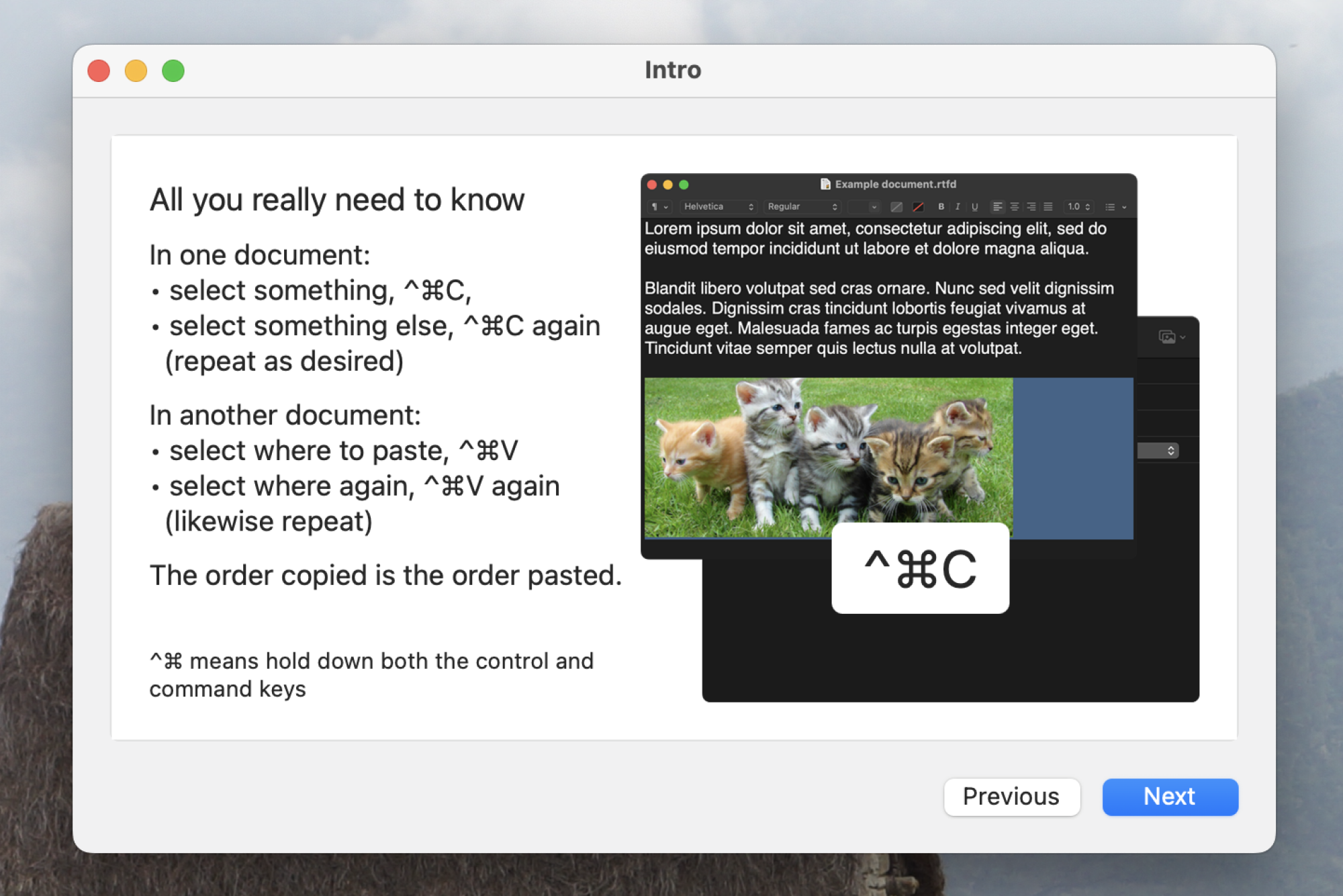 A screenshot of the application's intro, which explains how to use the batch copy and paste feature.