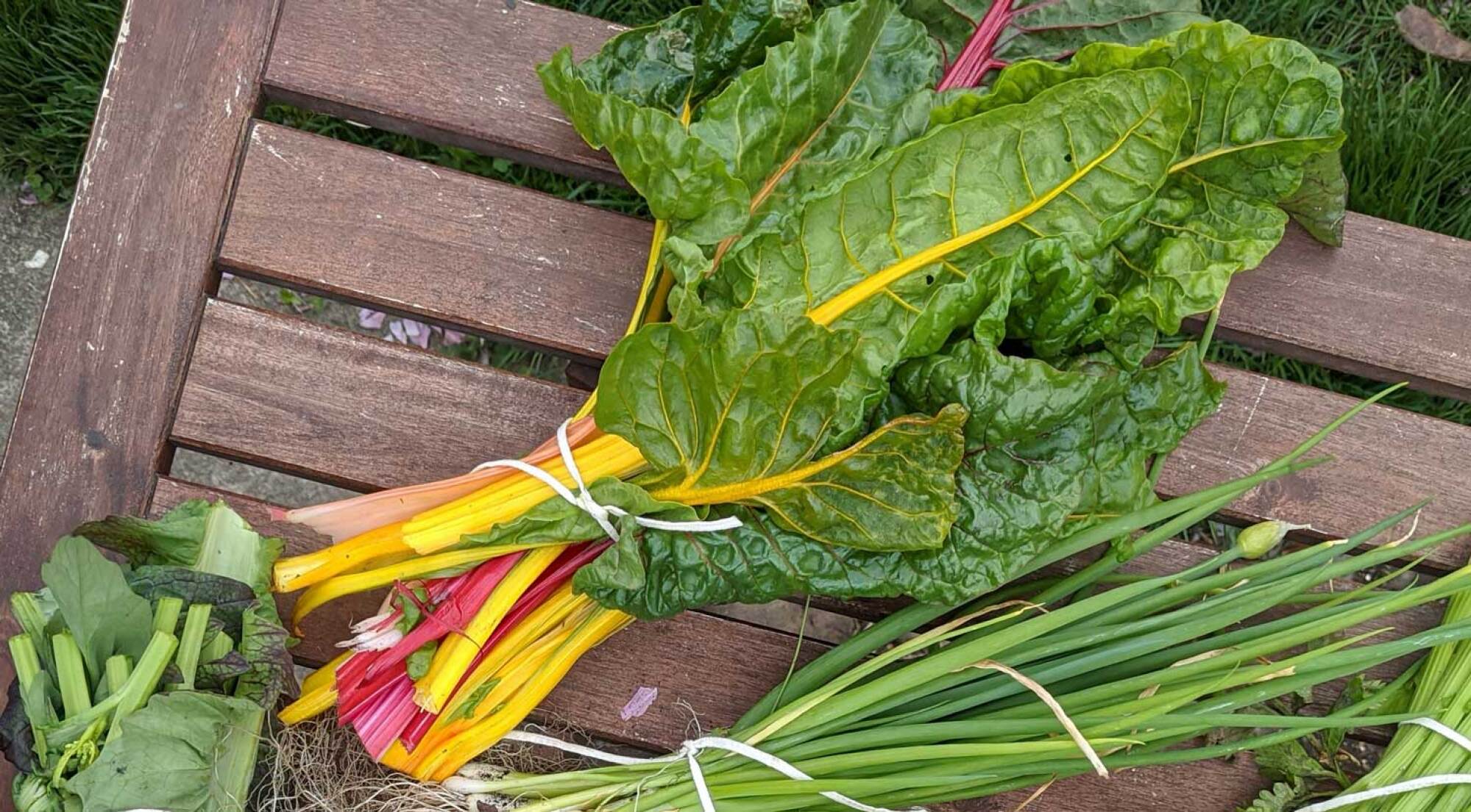 swiss chard