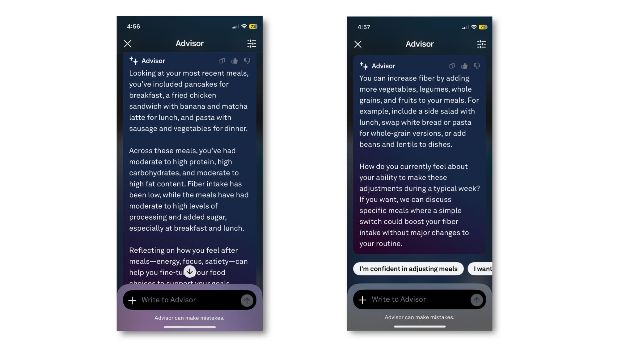 Advisor conversation about recent meals
