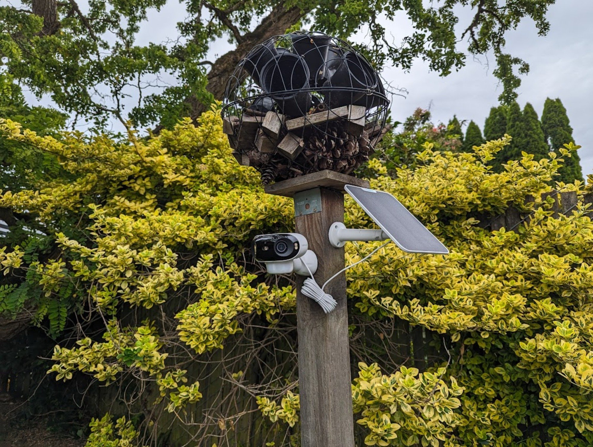 Reolink mounted on outdoor post