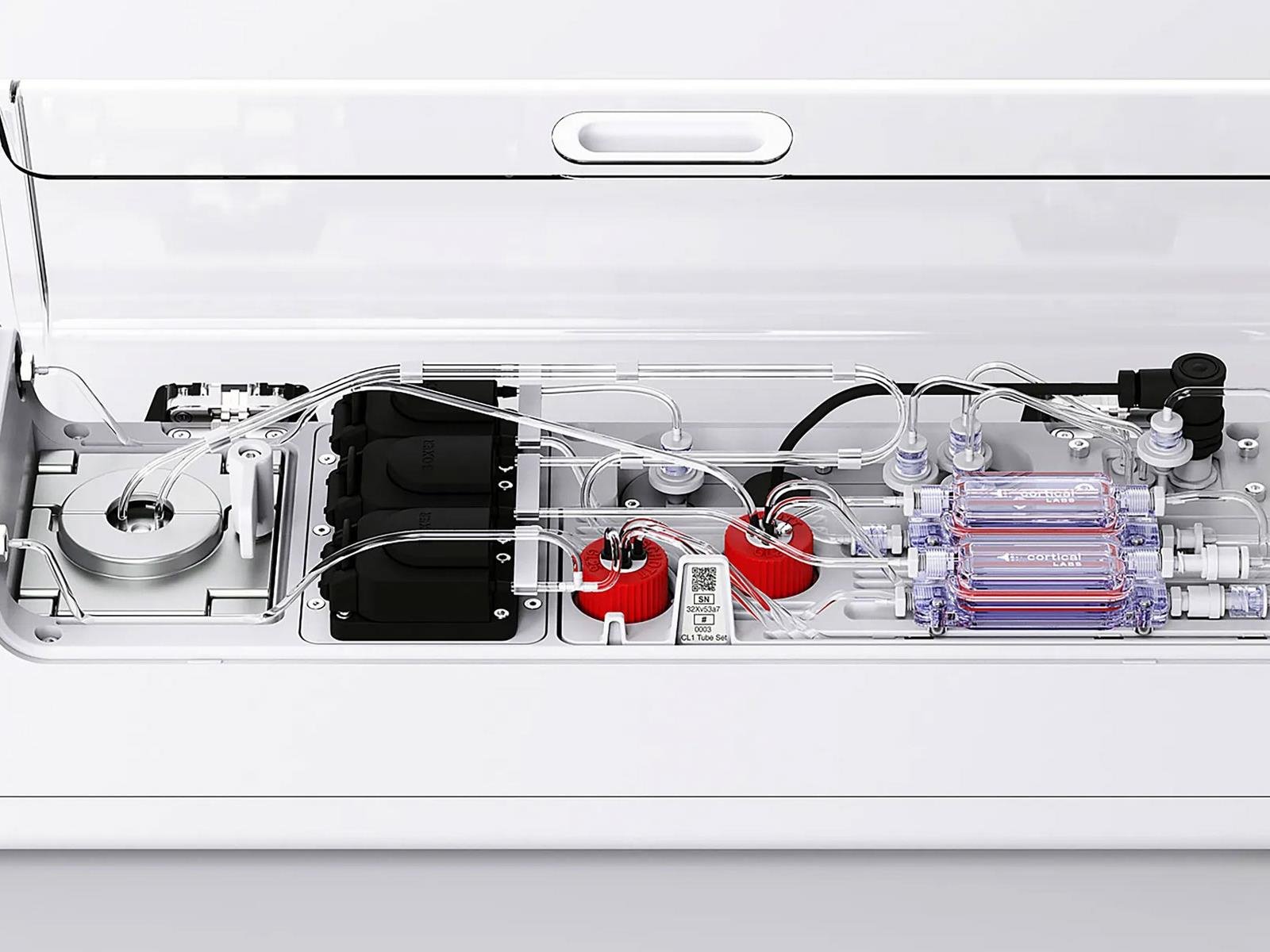 Cortical Labs Ships $35K Bio-Computer With Human Brain Cells For AI Research