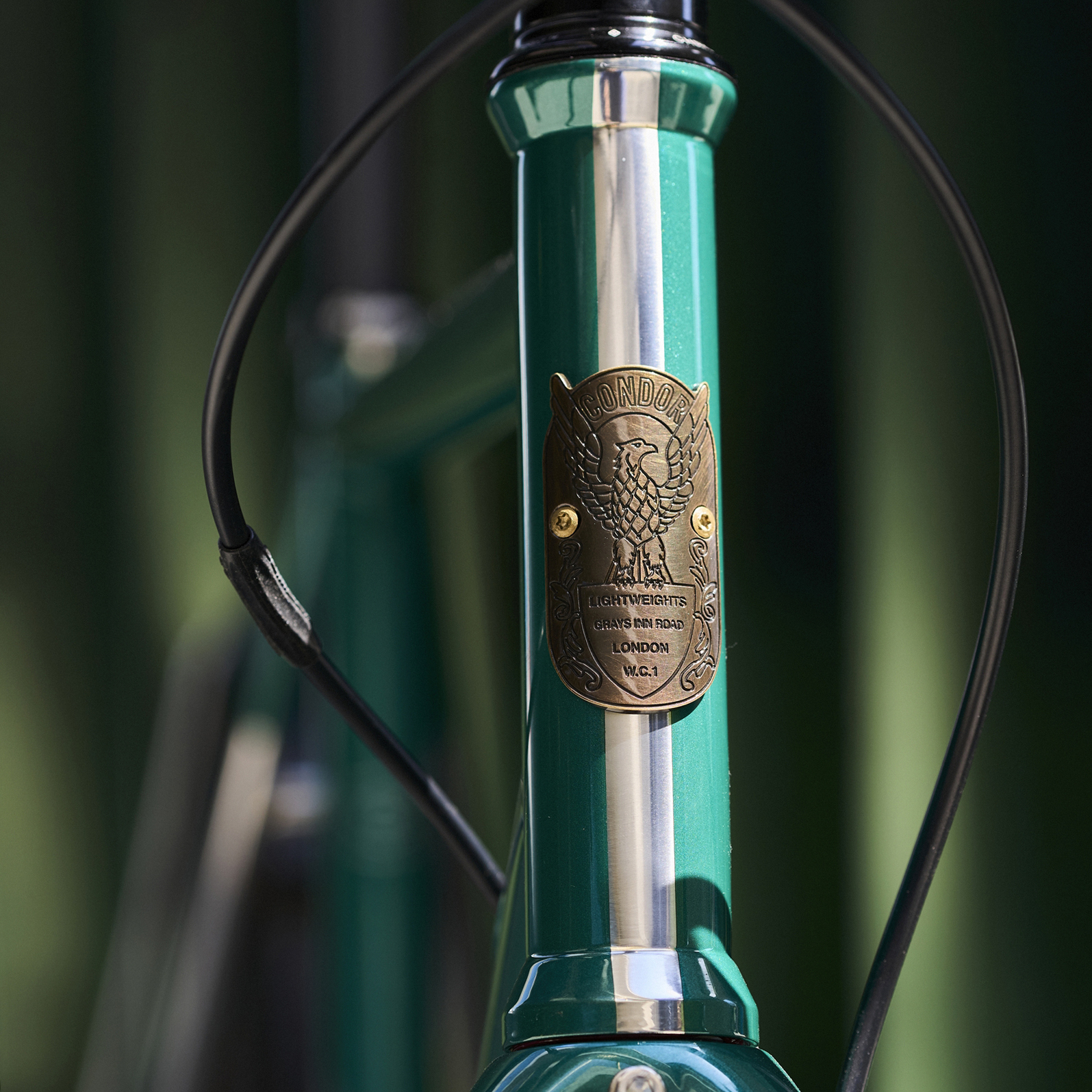 Brass head badge on the Condor Fratello Stainless road bike.