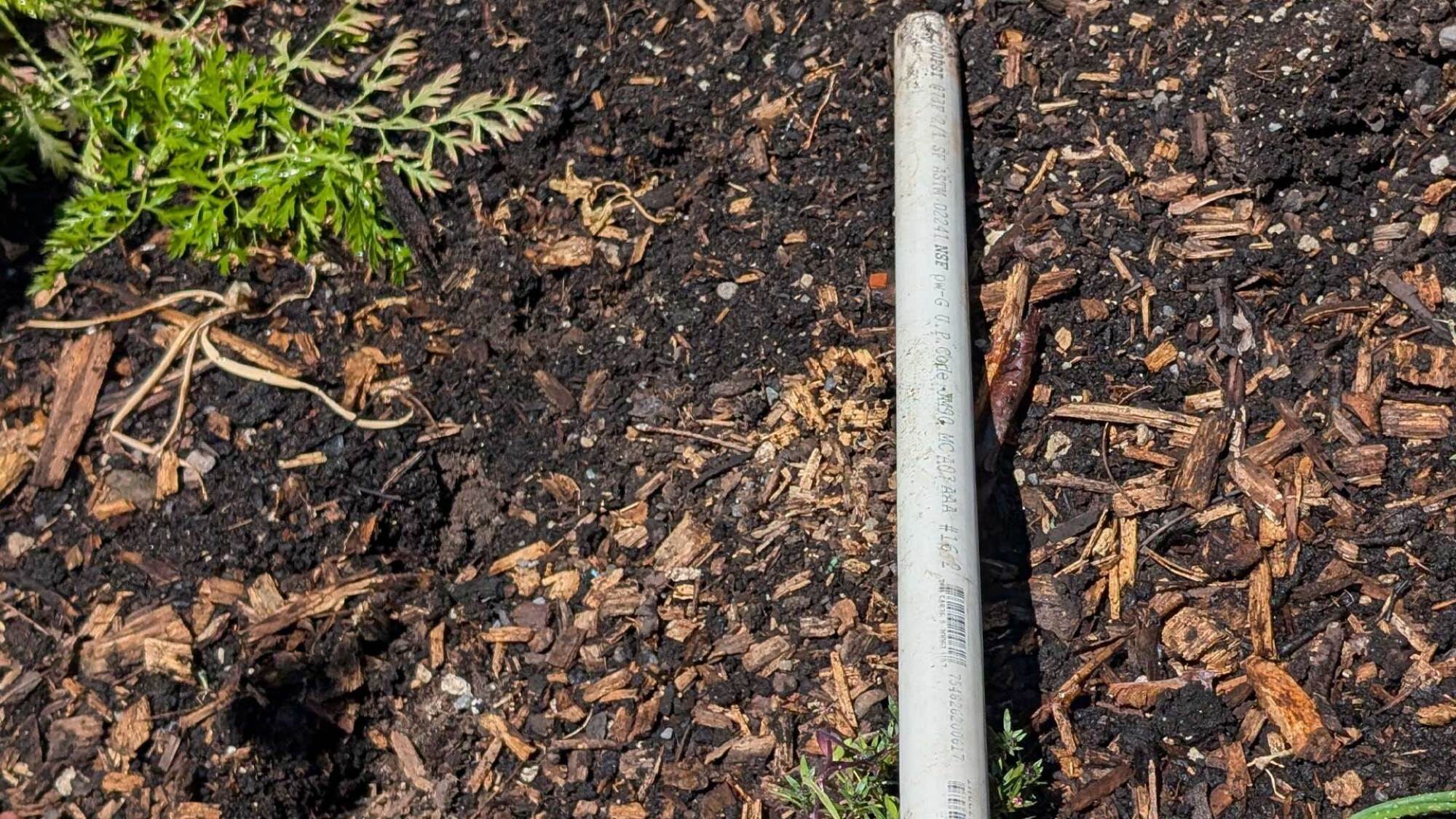 PVC pipe being used as a dibbler