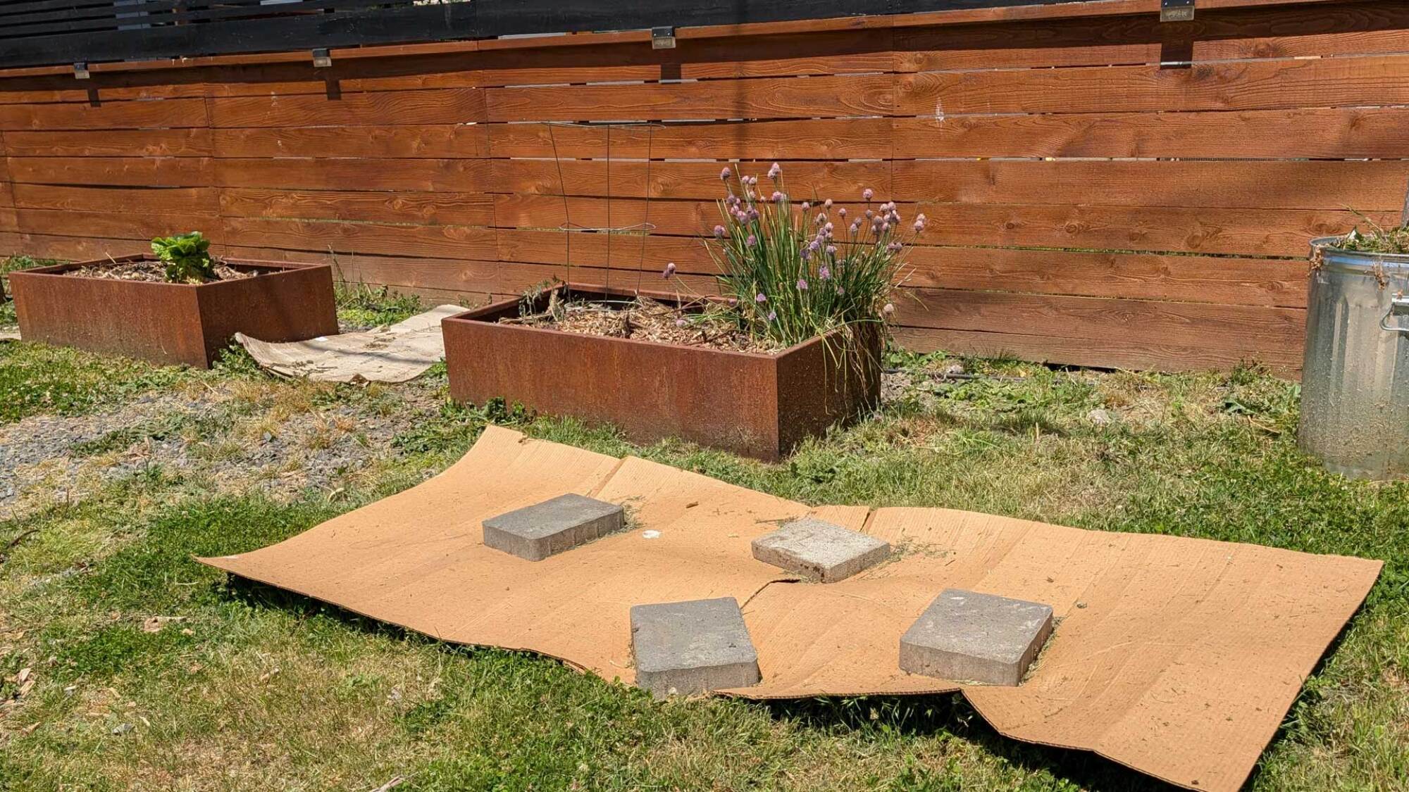 cardboard used for sheet mulching