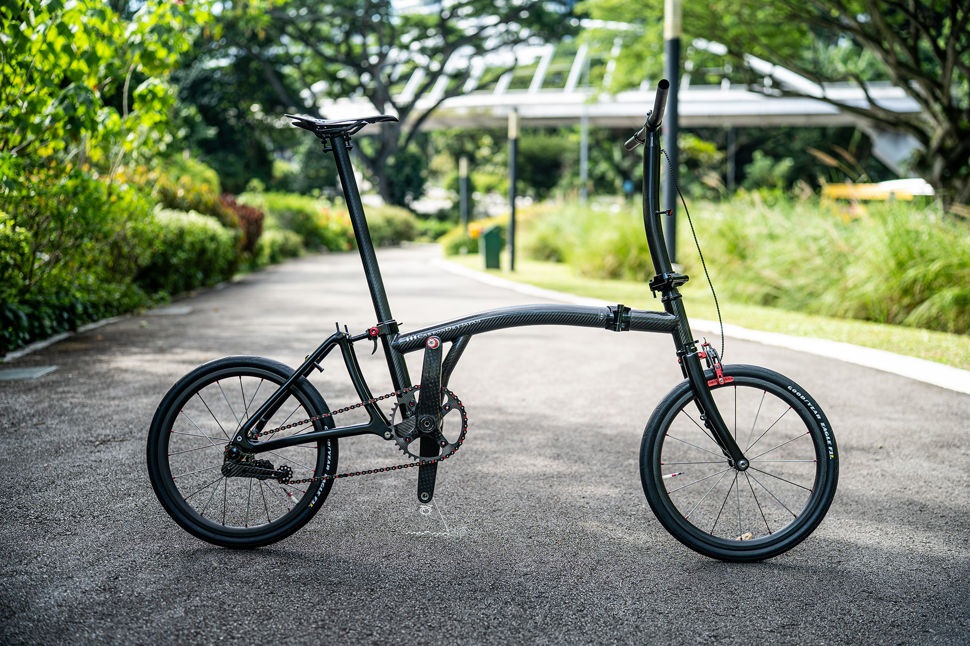 Carbon Brompton 