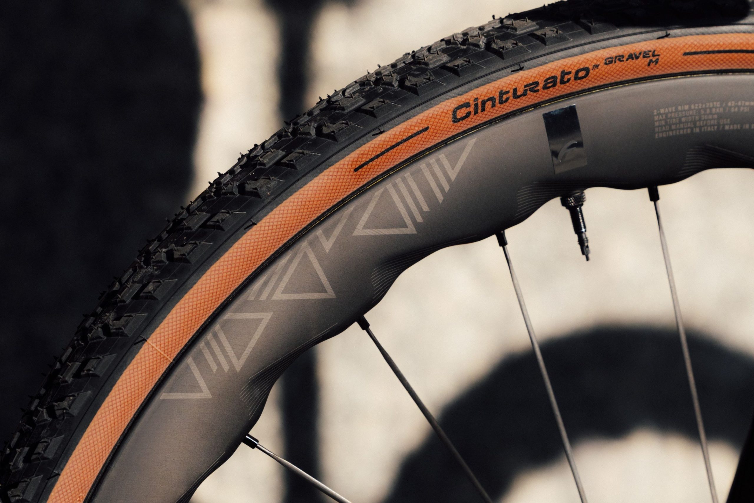 Fulcrum Polartec wheels.