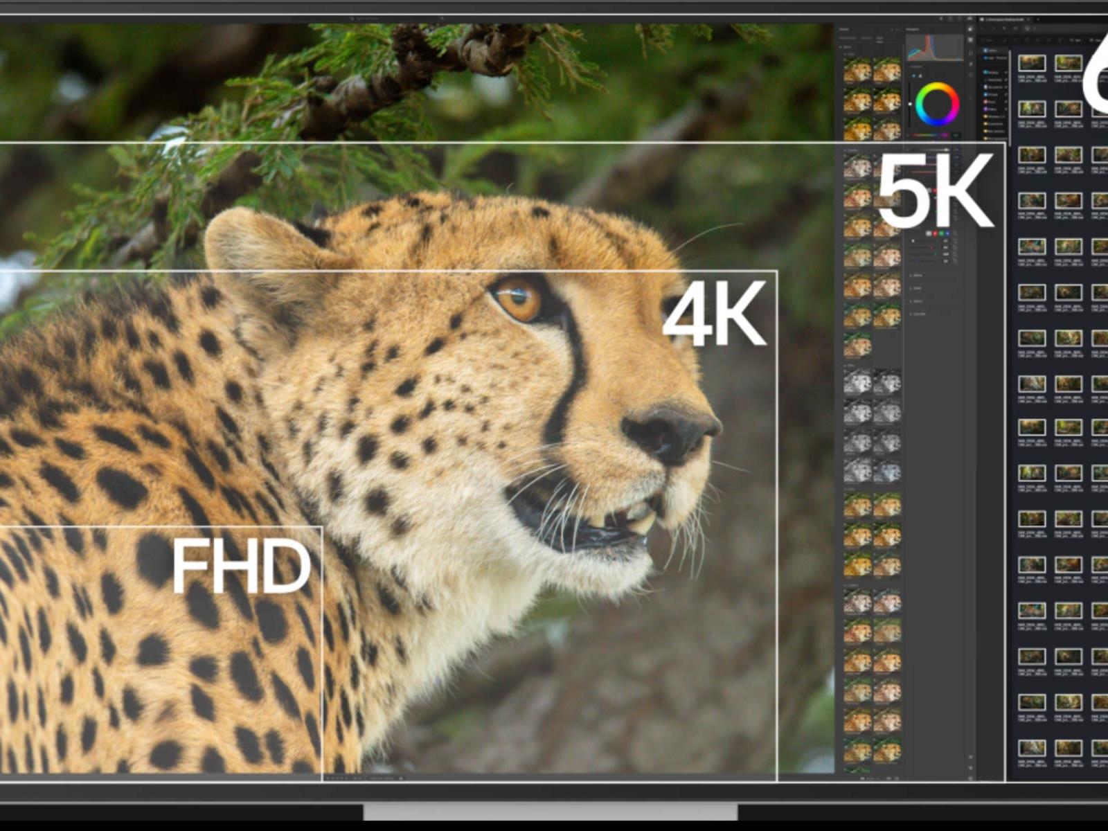 Forget The Refresh Race, LG Launches First 6K Thunderbolt 5 Monitor