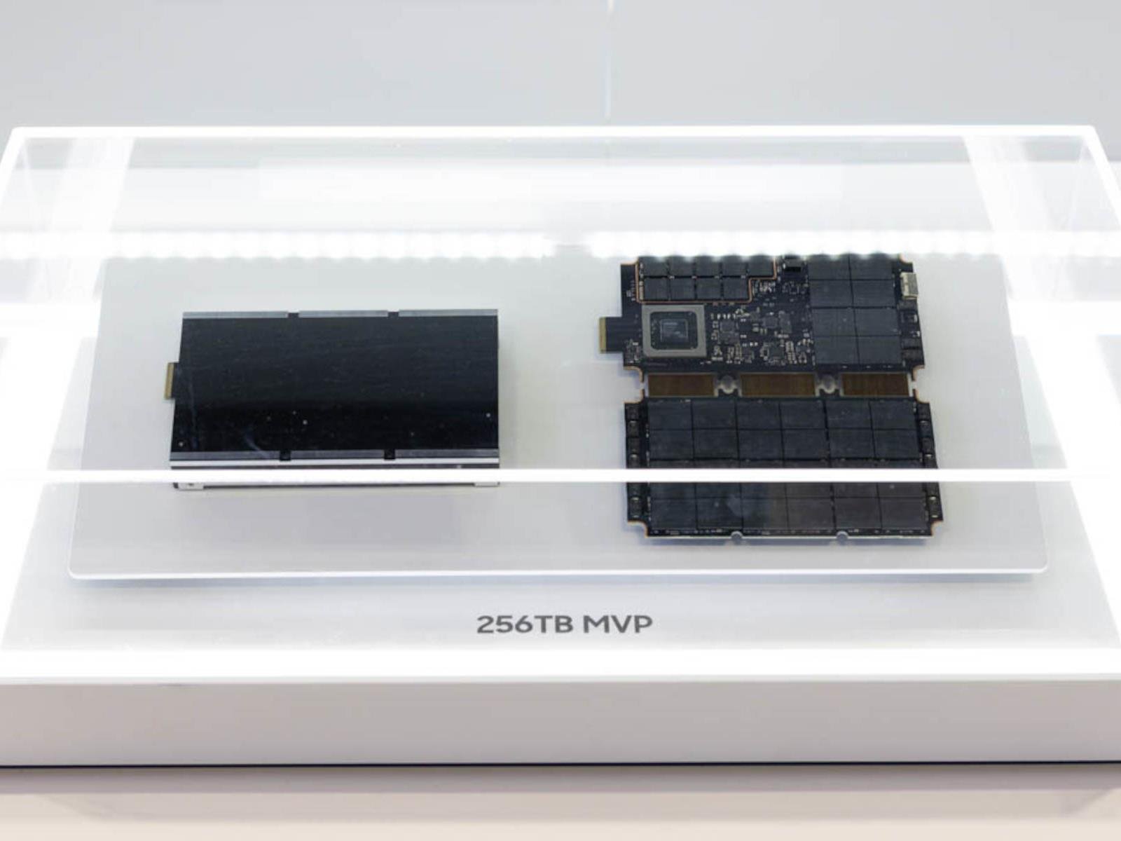Samsung 256TB And 512TB PCIe 6 SSDs Are On The Storage Horizon For Massive Capacity And Bandwidth