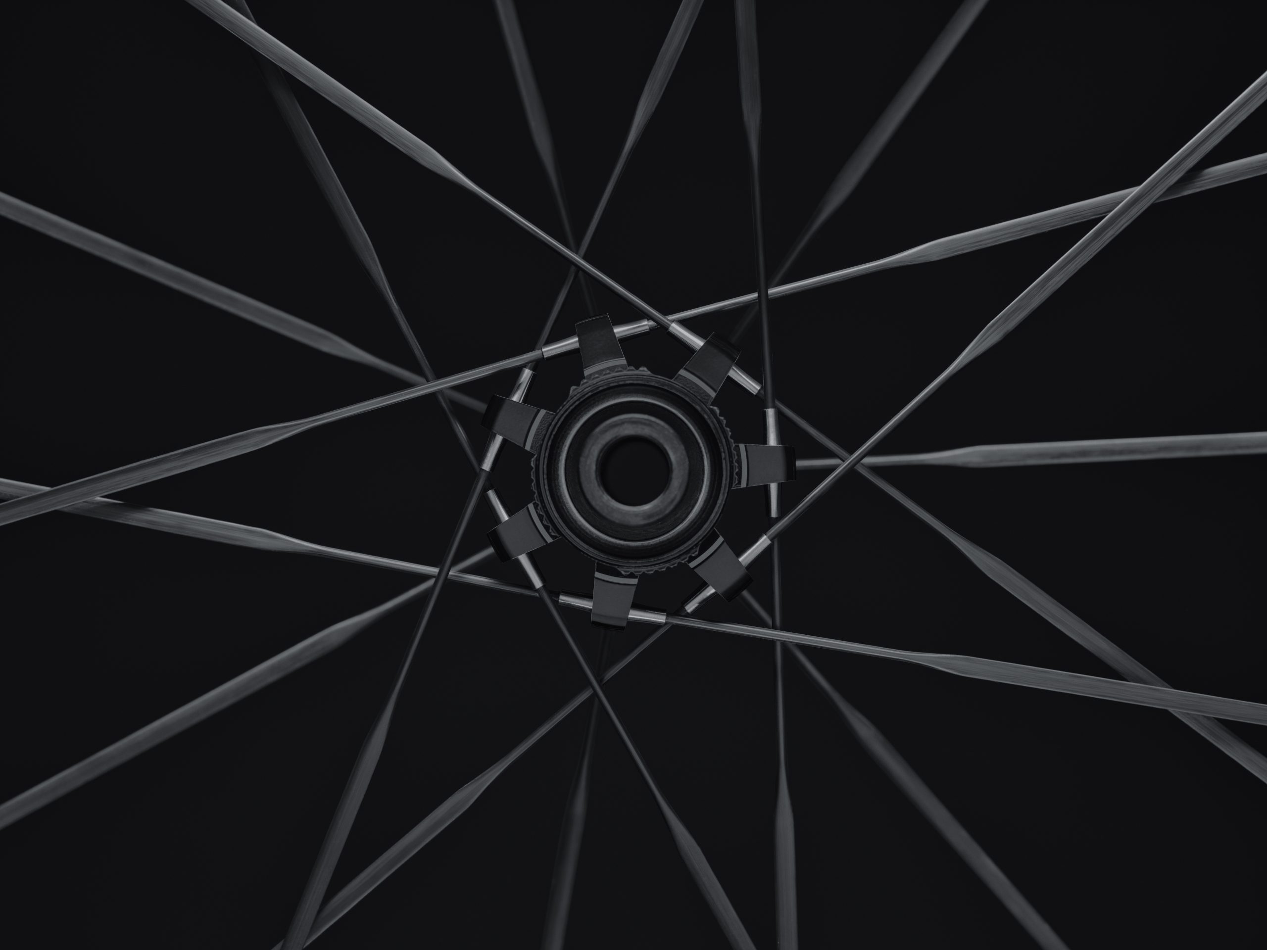 Roval Alpinist CLX III wheelset