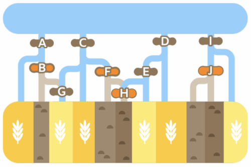 Example answer image from a task 'Beaver Farmer' featured in the UK Bebras Challenge.