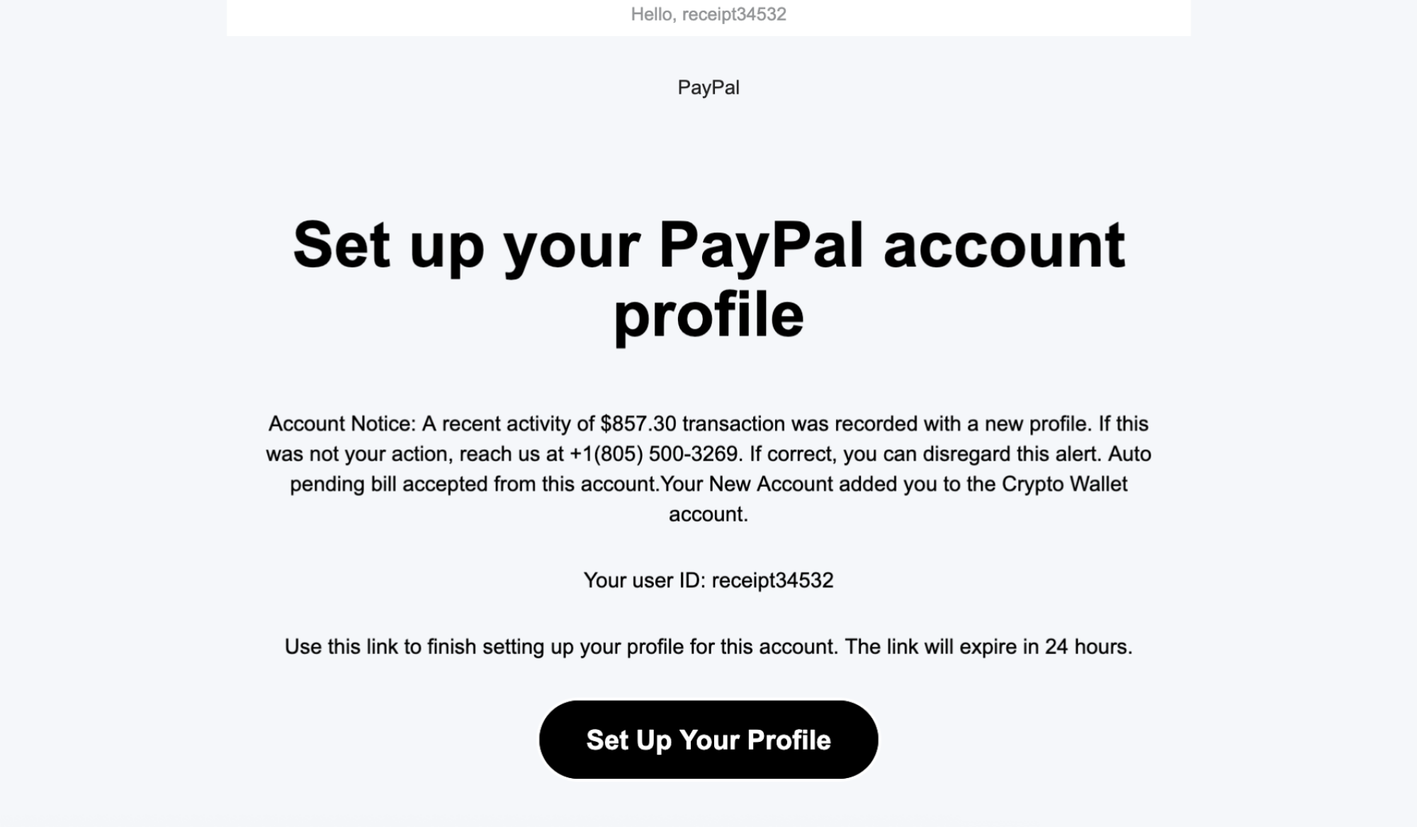 paypal scam email