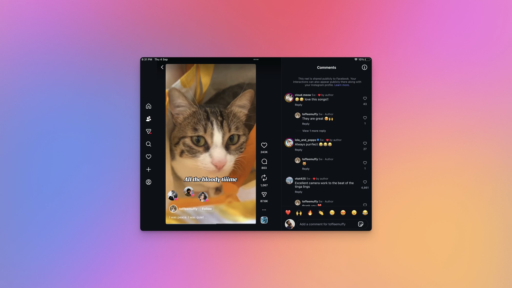 Instagram's iPad app showing comments on a Reel of a cat.